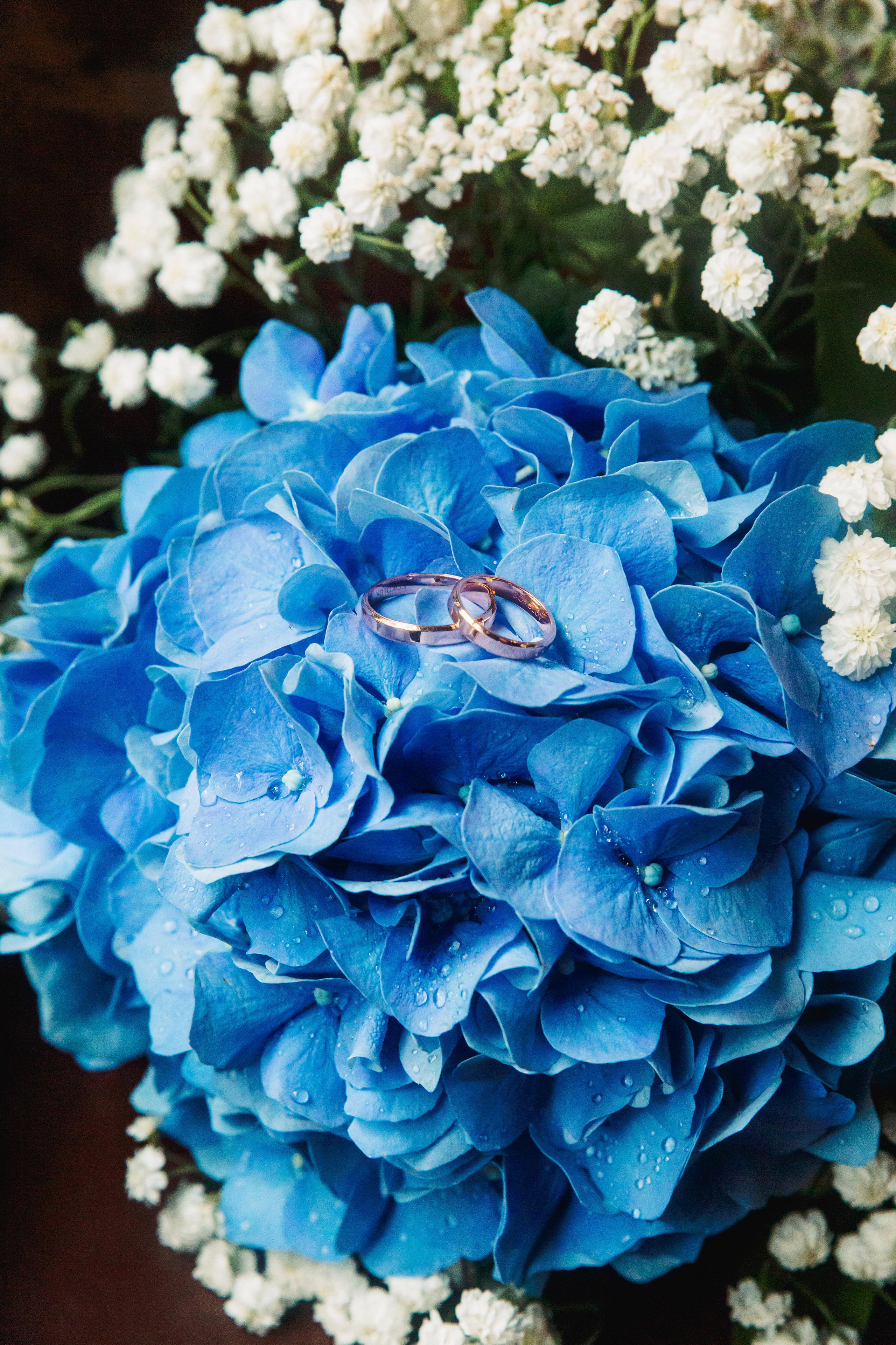 Росинки счастья. Фотограф в Кронштадте и Санкт-Петербурге Анастасия Коваленко