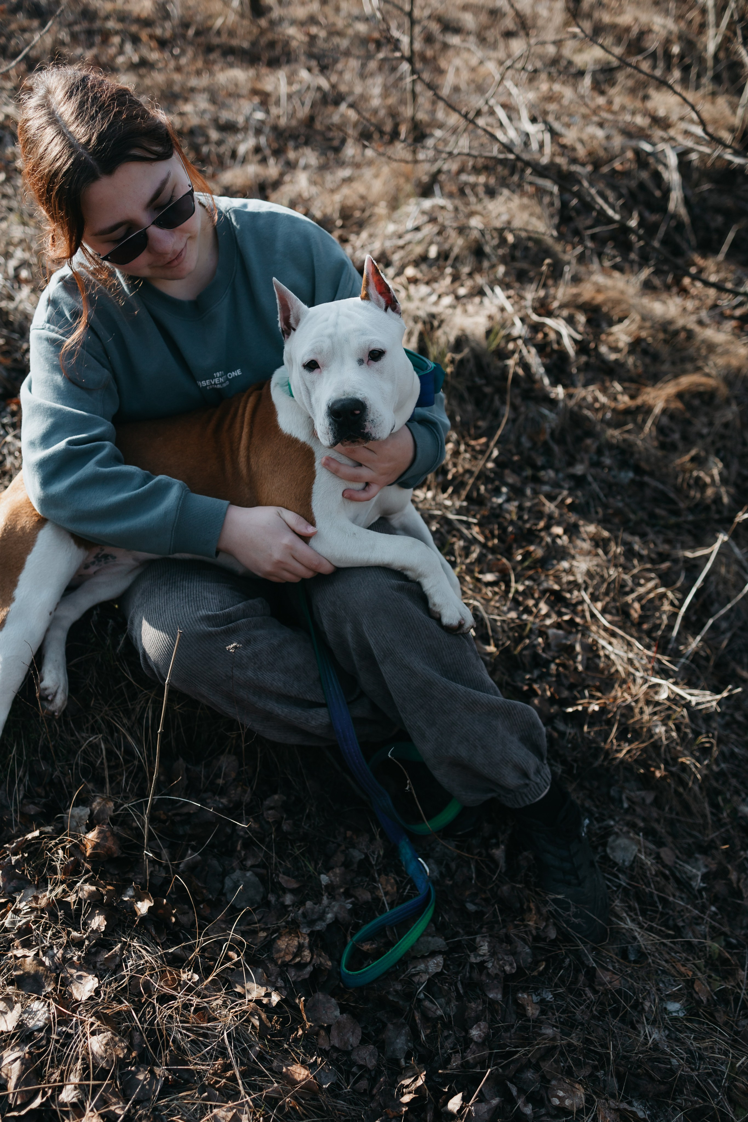Лера, Ума и Винни. Фотограф — анималист Светлана Кысса|фотограф собак в Краснодаре и Нижнем Новгороде