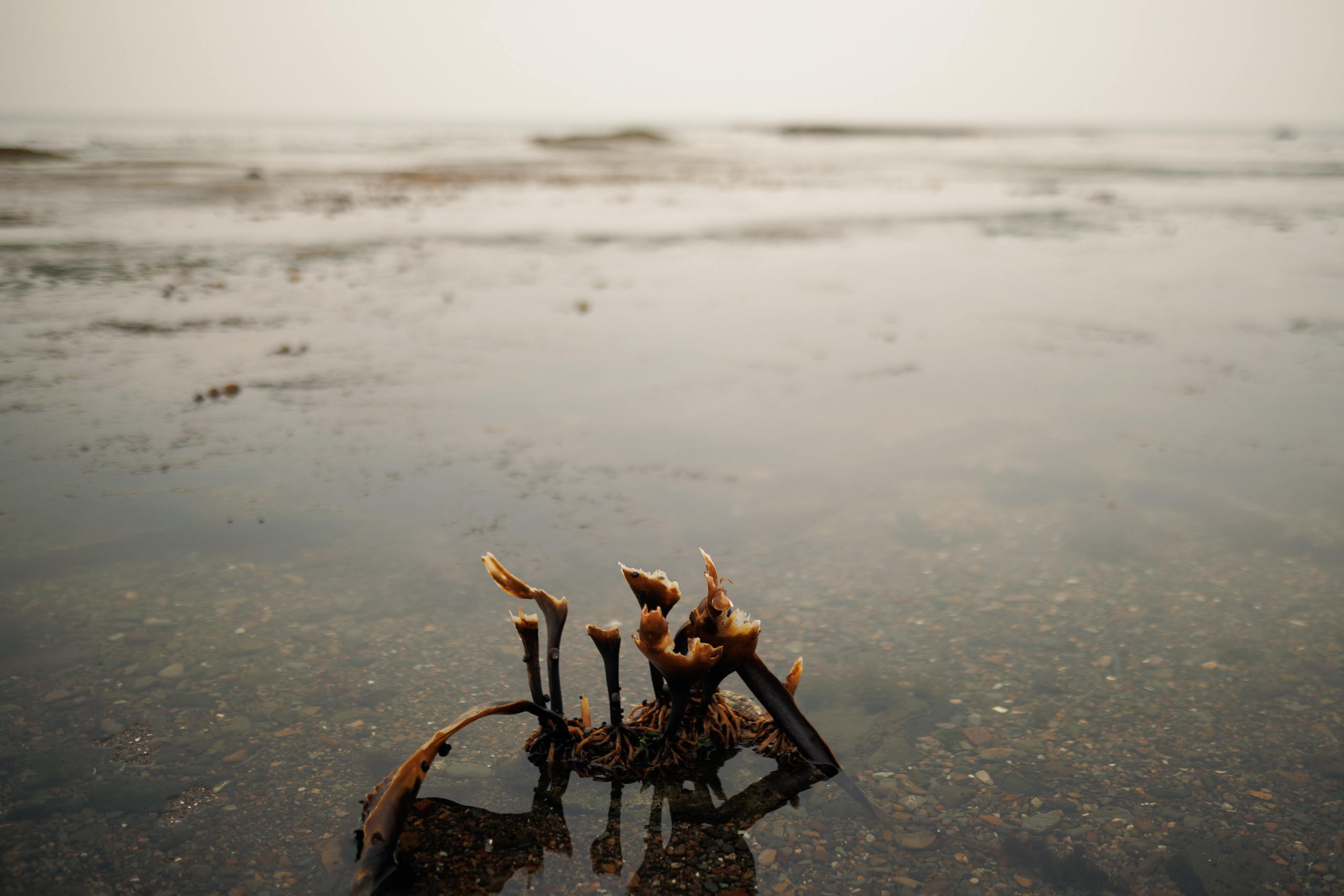 Женская фотосессия на берегу Охотского моря. Сахалин. Фотограф Валерия Горбунова Подольск Бутово Видное Щербинка