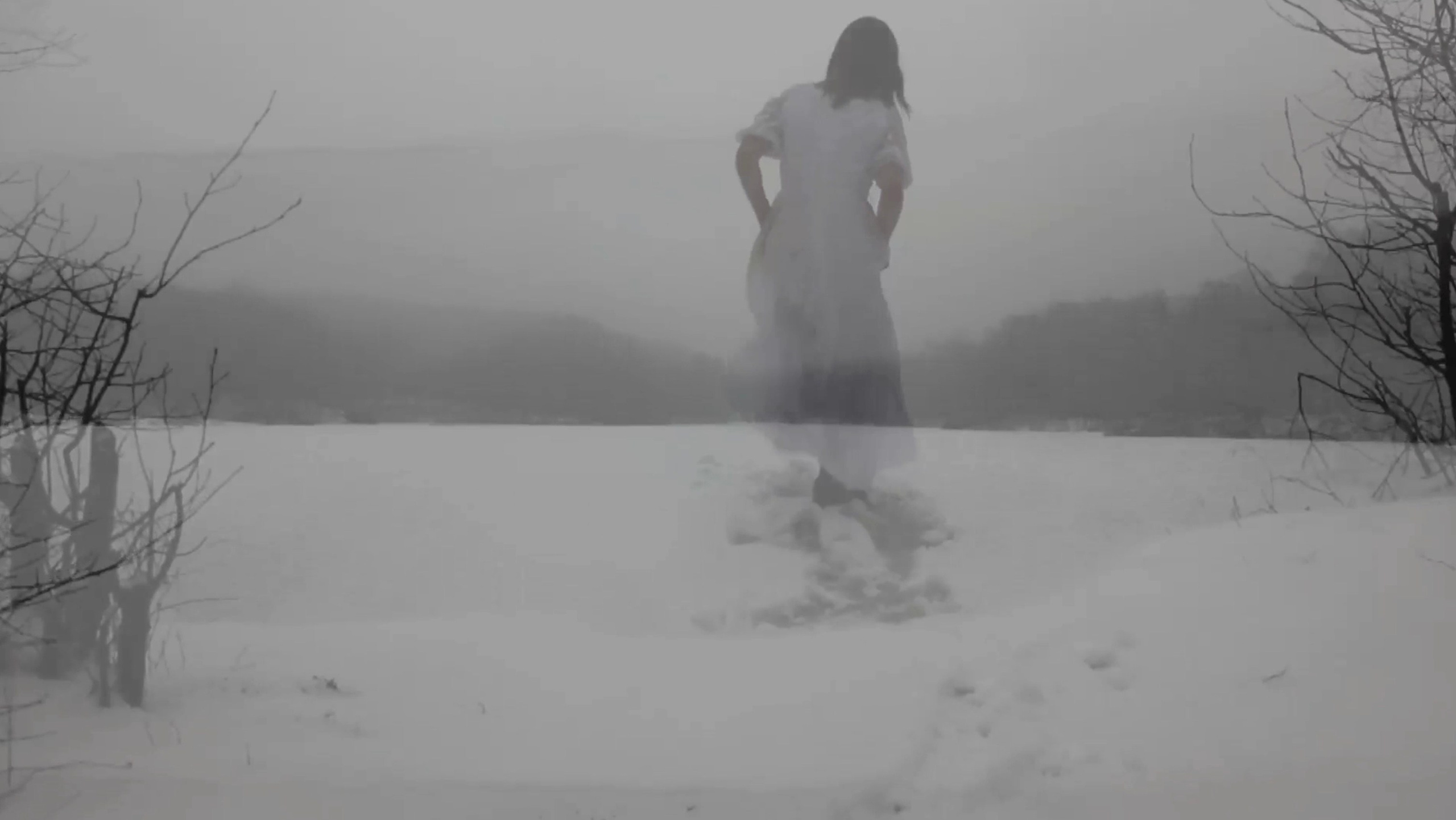 ЛЕД. Художественная группа «Нежные Бабы»