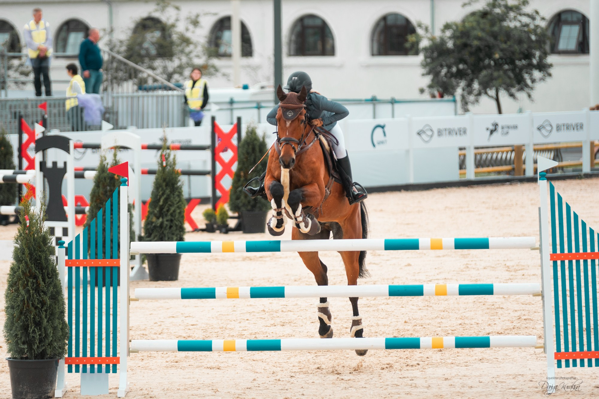 BITRIVER CUP 2023. Конный фотограф Куракина Дарья • Фотосессии с лошадьми