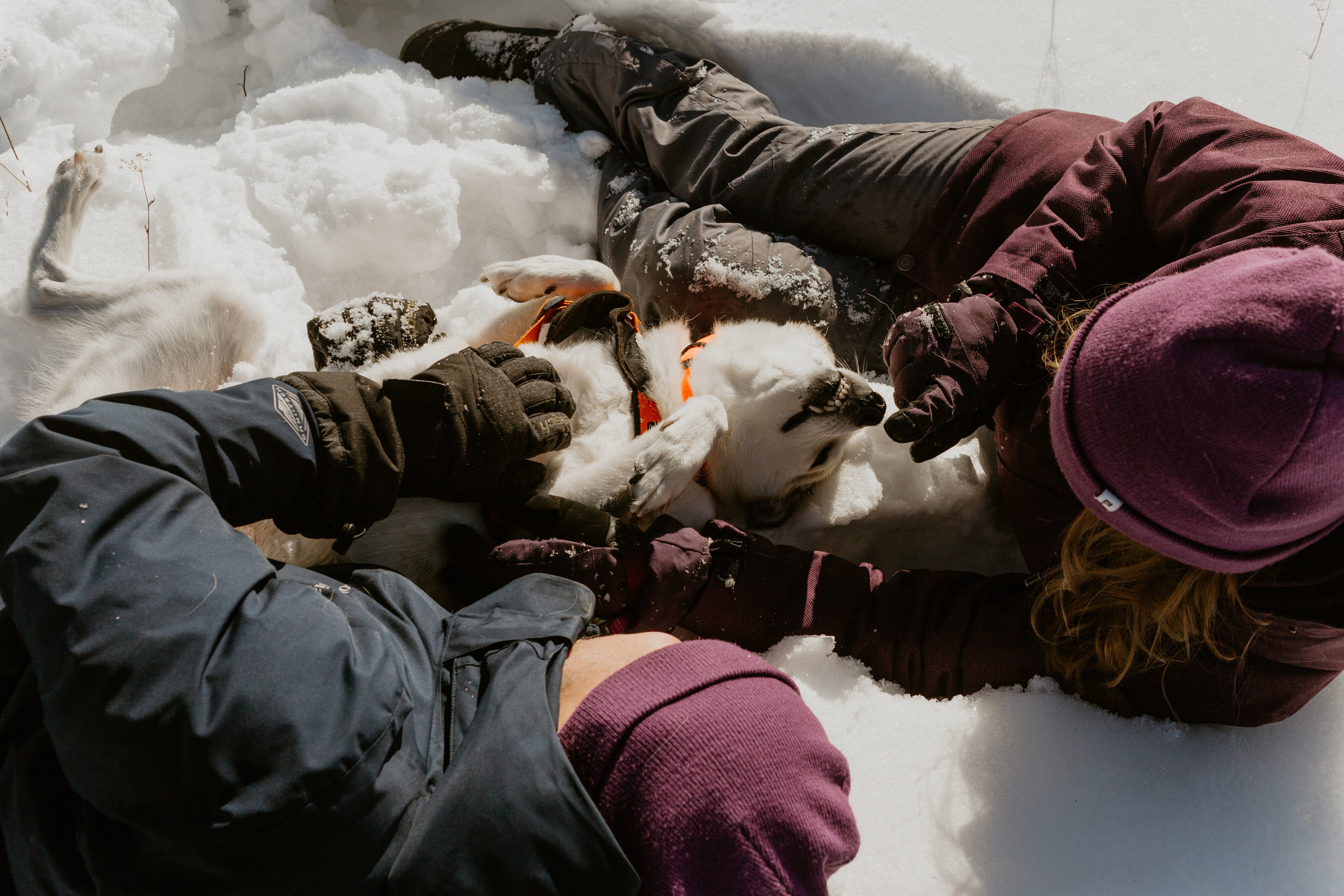Покоряя вершины. Свадебный фотограф в Москве и Екатеринбурге