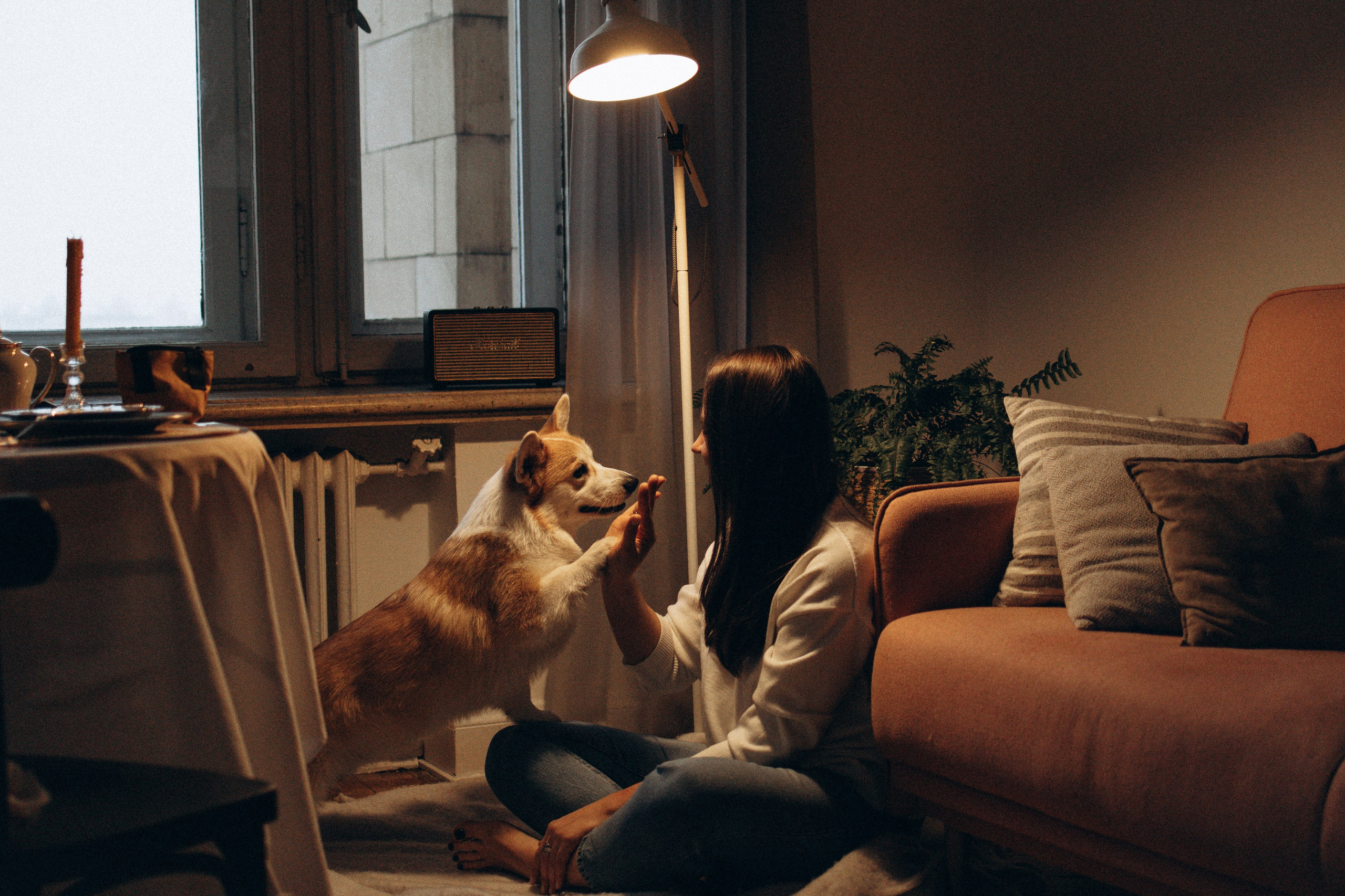 Ронни и Жанна. Фотораф — анималист Мария Шистка
