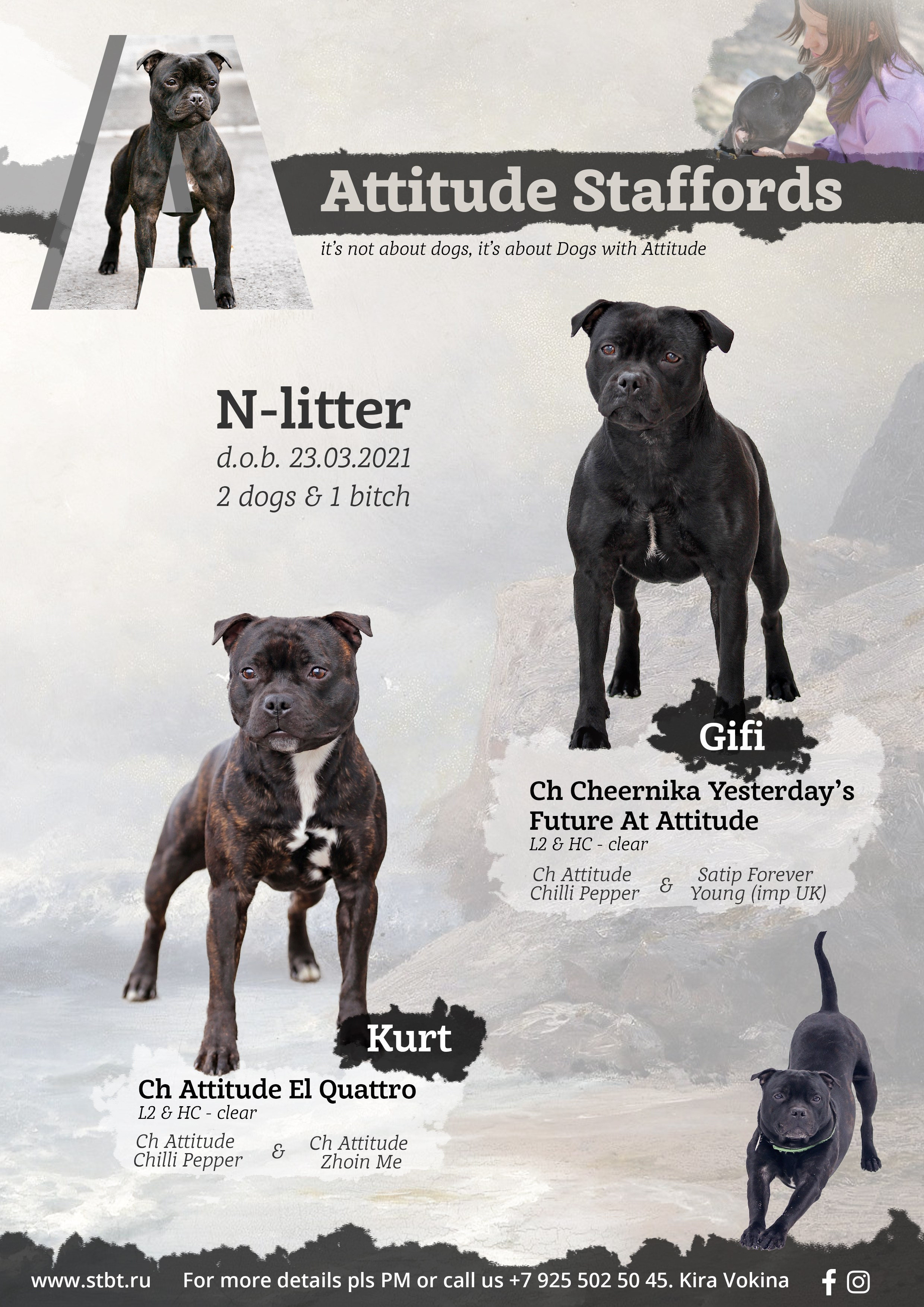 Дизайн. Фотограф-анималист в Калуге Мария Шерскова