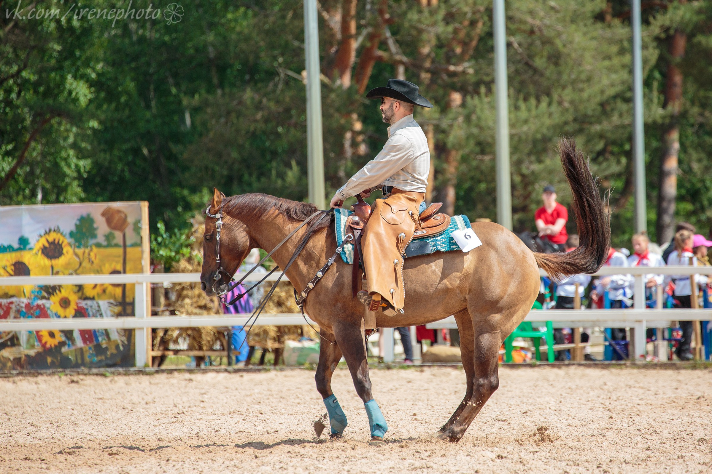 Иппосфера 2024. Irenephoto.ru