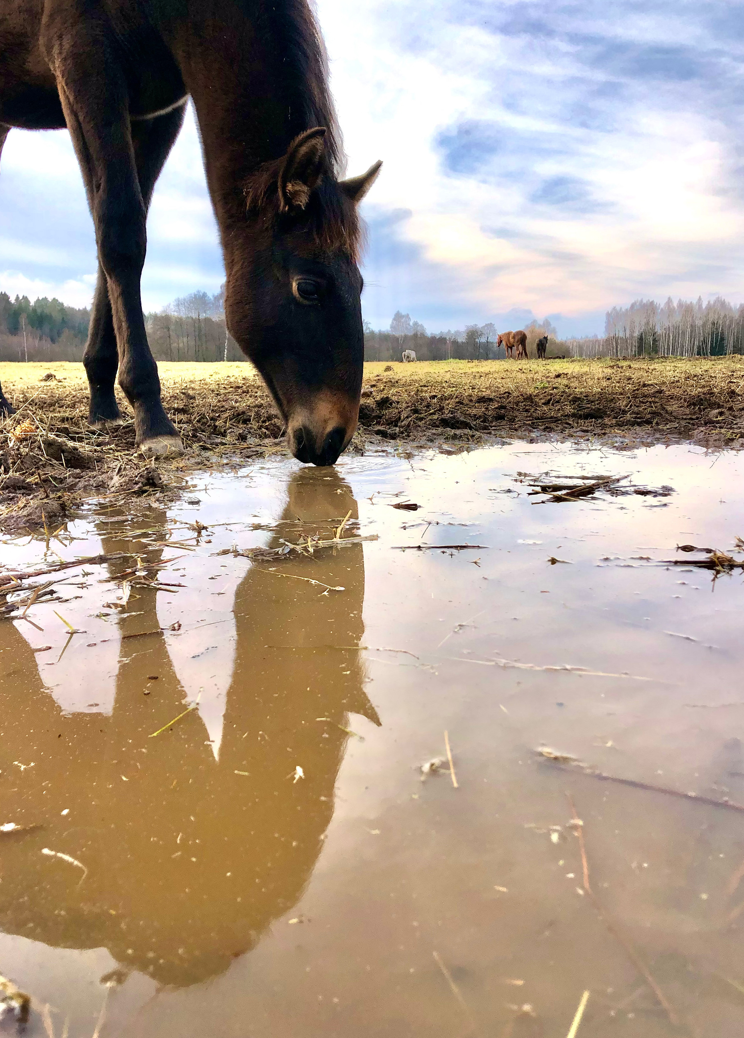 Мобильное фото. Фотограф в Москве Дудкова Юлия