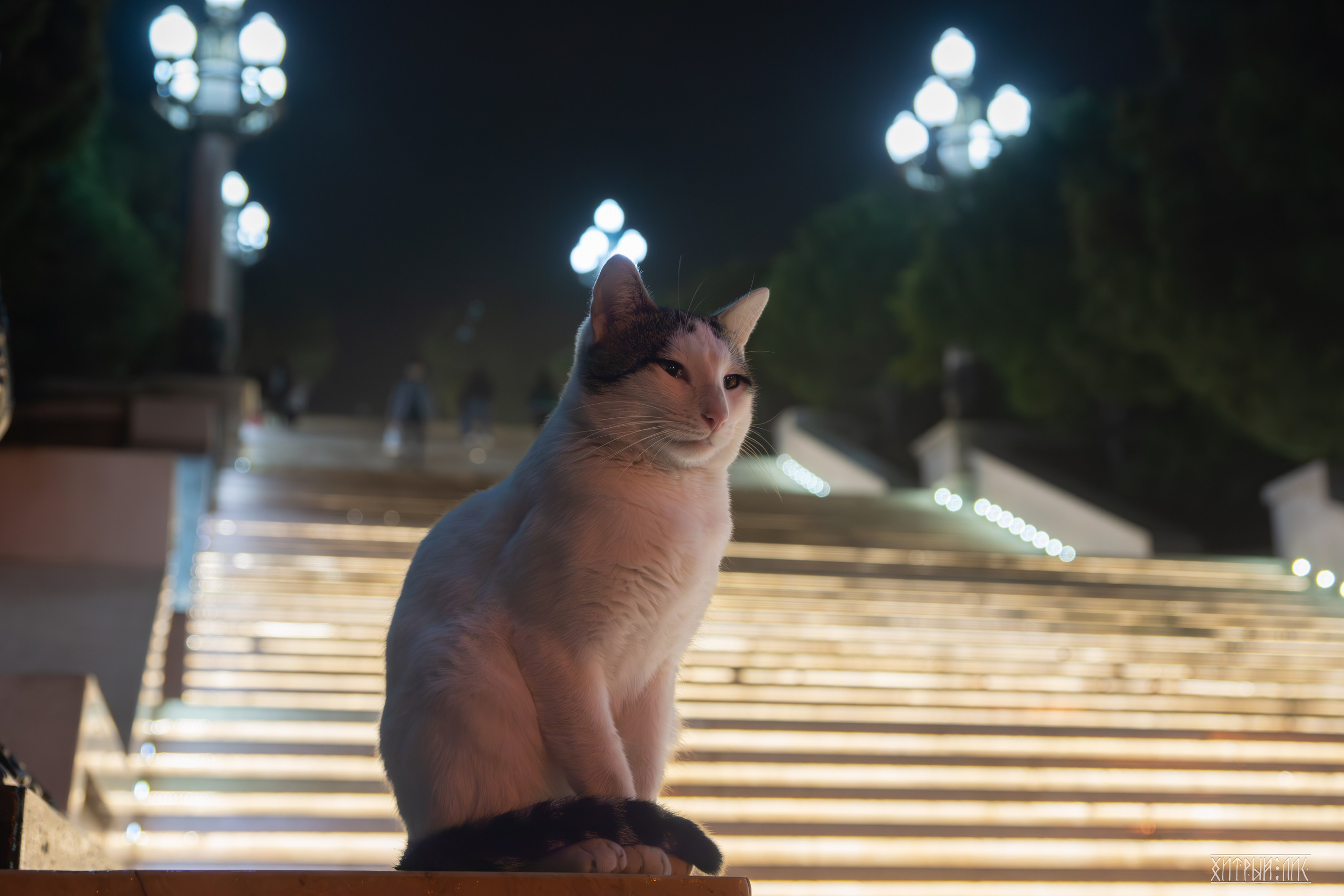 Баку. Фотограф-путешественник Самойлов Максим «Sly Fox»