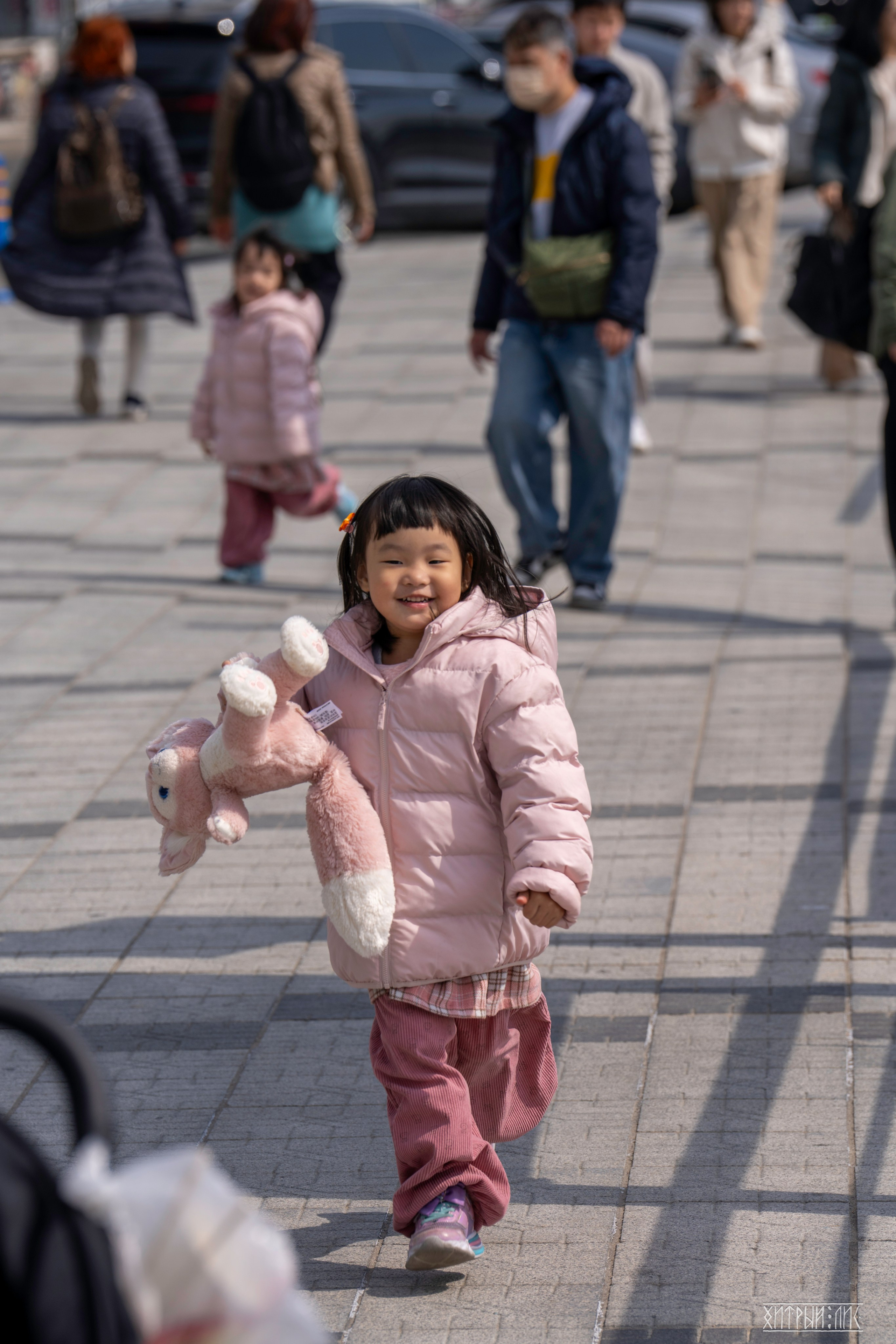 Южная Корея. Фотограф-путешественник Самойлов Максим «Sly Fox»