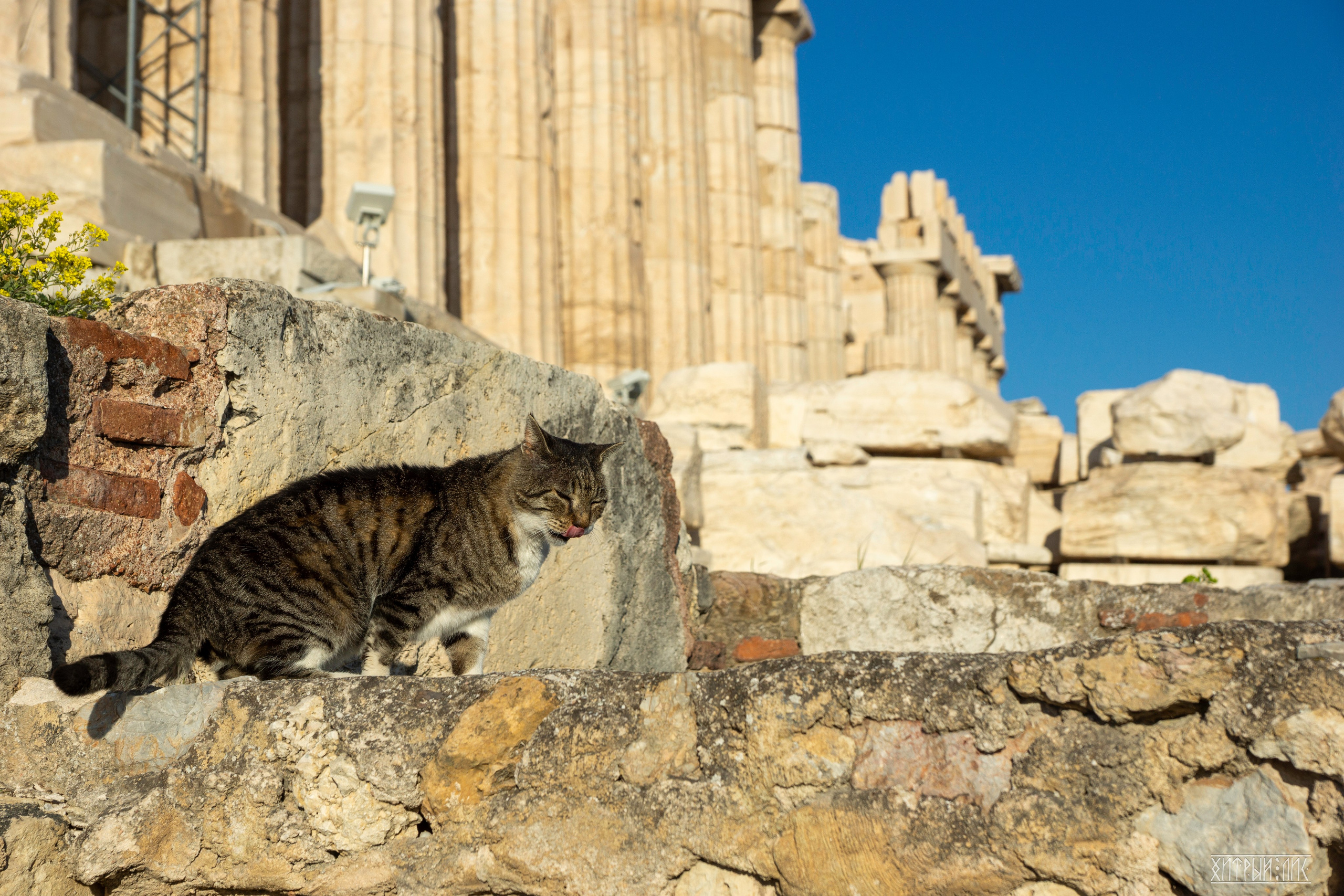 Афины. Фотограф-путешественник Самойлов Максим «Sly Fox»