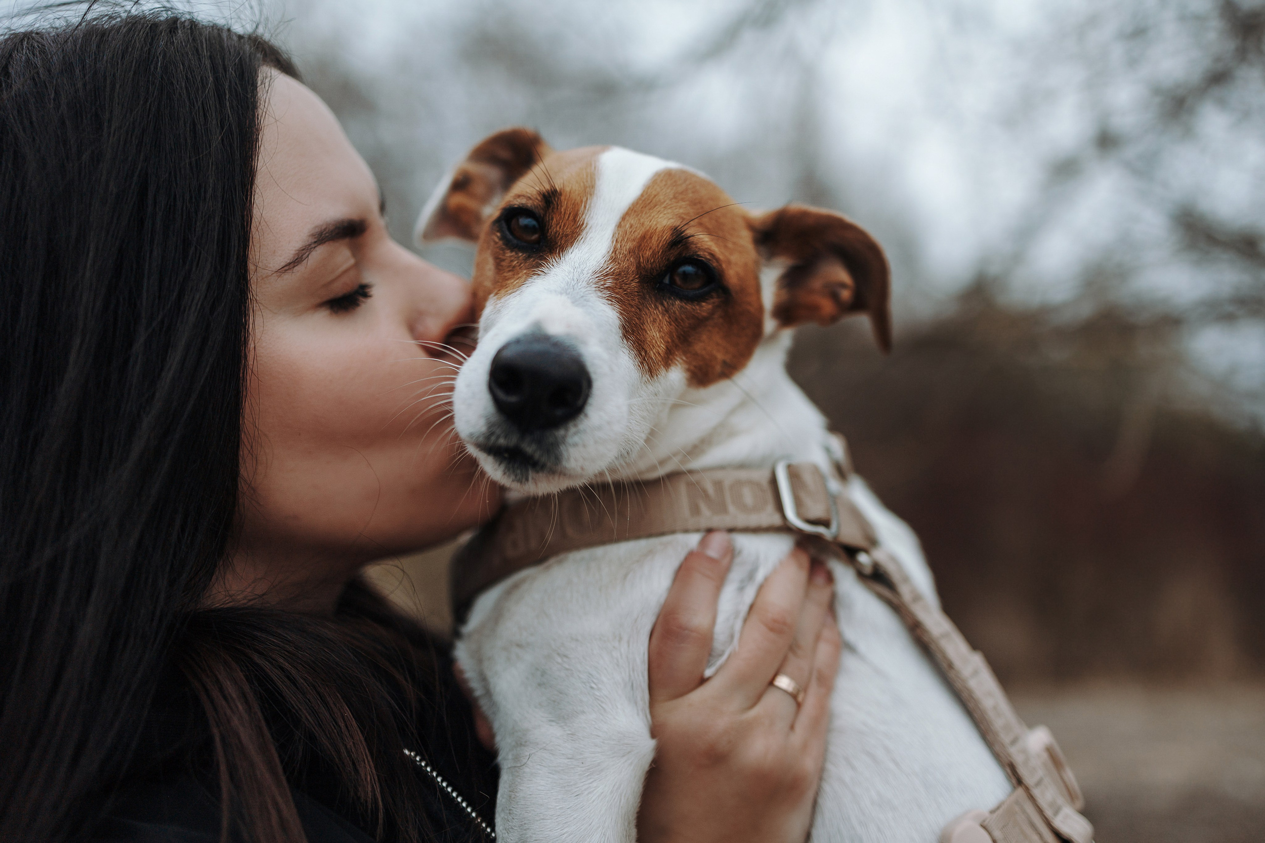 Саша и Джеки. Фотограф — Анималист | Санкт-Петербург