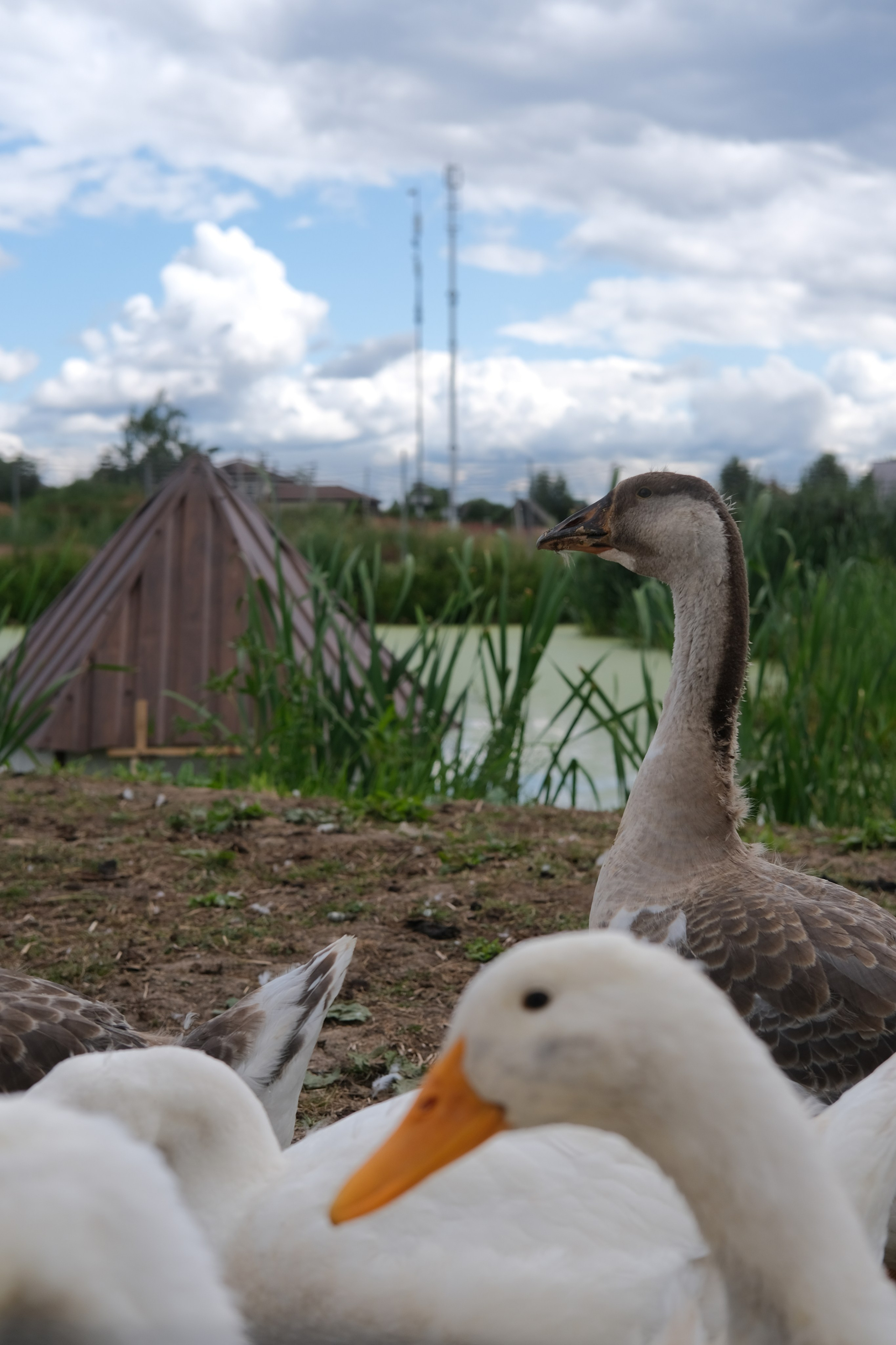 Изобразительное Искусство. Художественный фотограф. Фотосессии, Обучение, Ревью