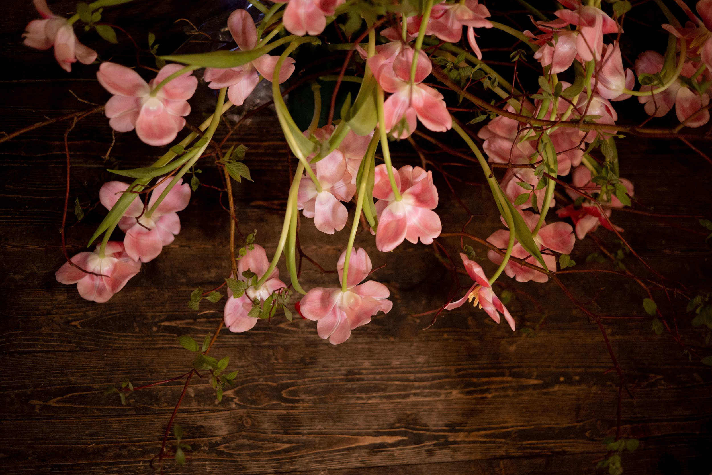 Василиса & Александр. Оформление свадеб, декор свадеб Вера Маркова, Москва