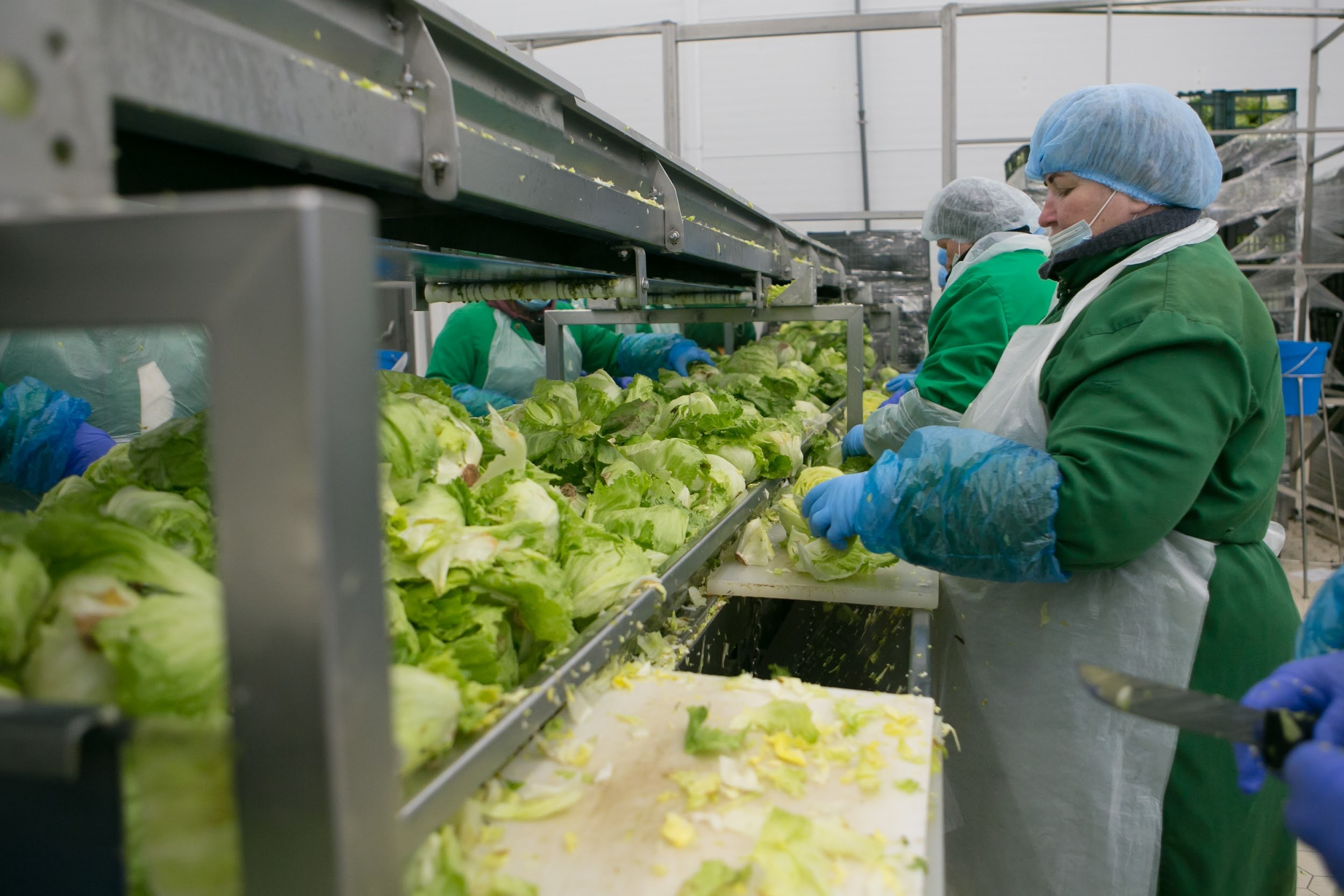 Репортаж. Фотограф Маруся Молодец Москва