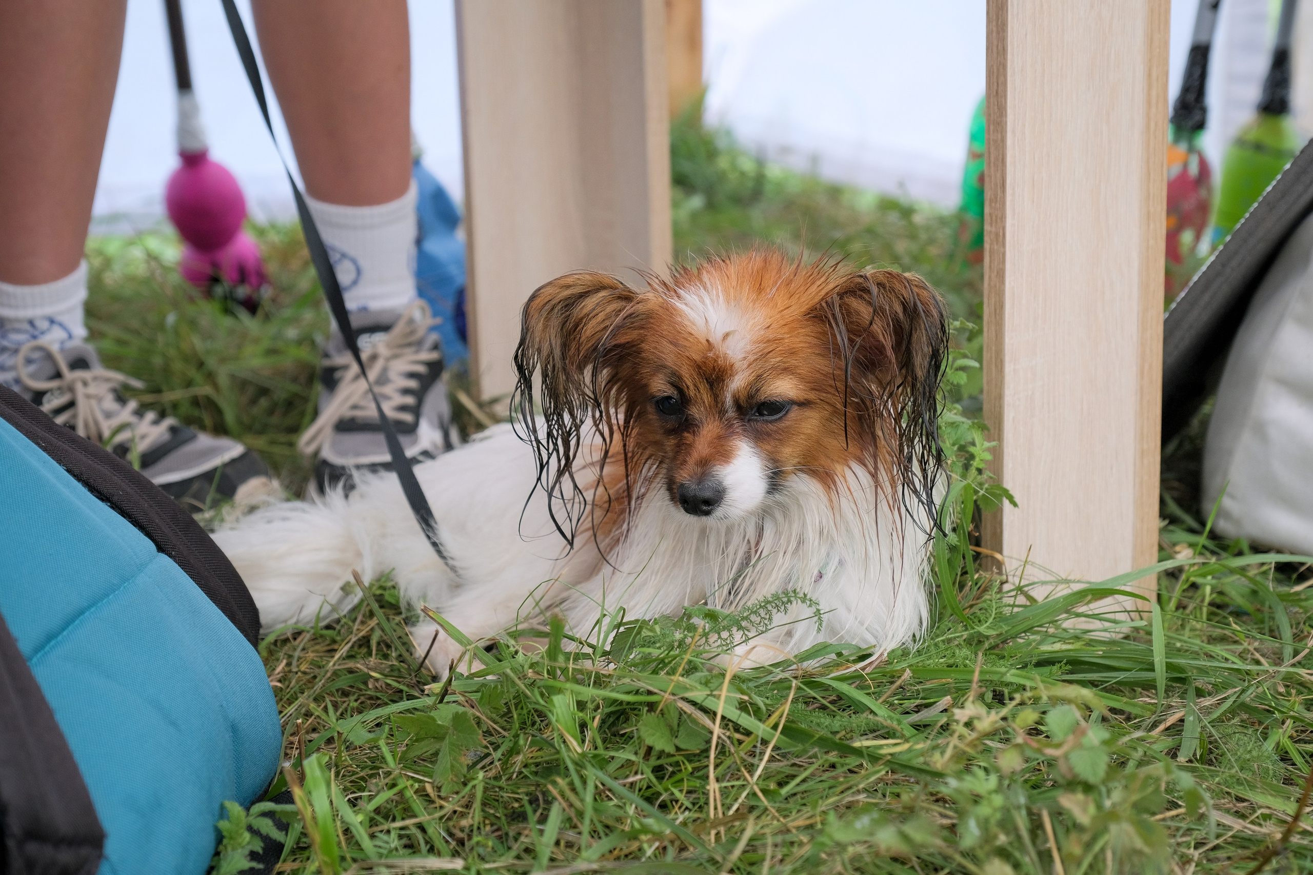 Фестиваль «Бессонница» 2025. Семейный и детский фотограф в Москве Светлана Потемкина