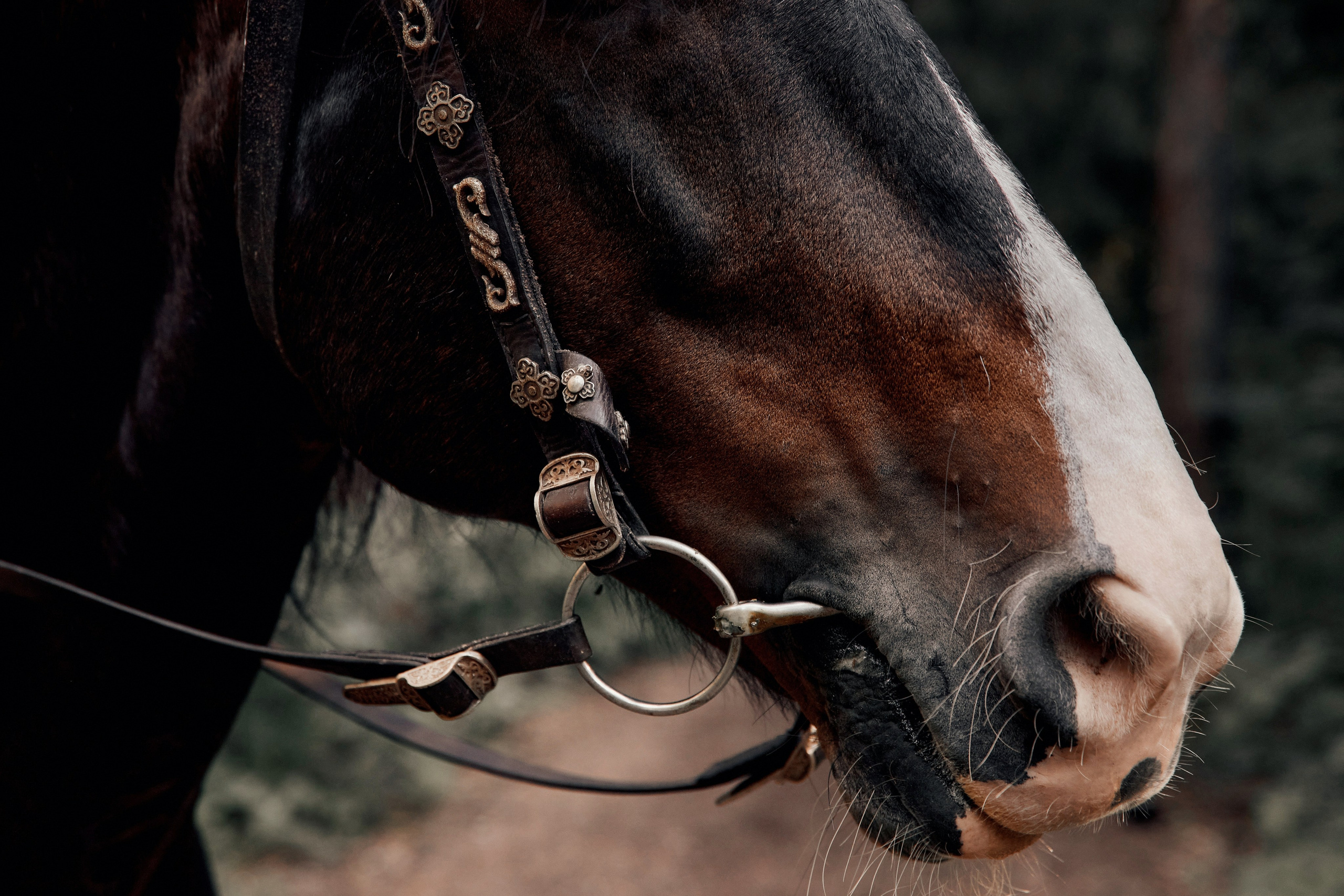 Fashion & Ranch. Фотограф Алексей Яковлев