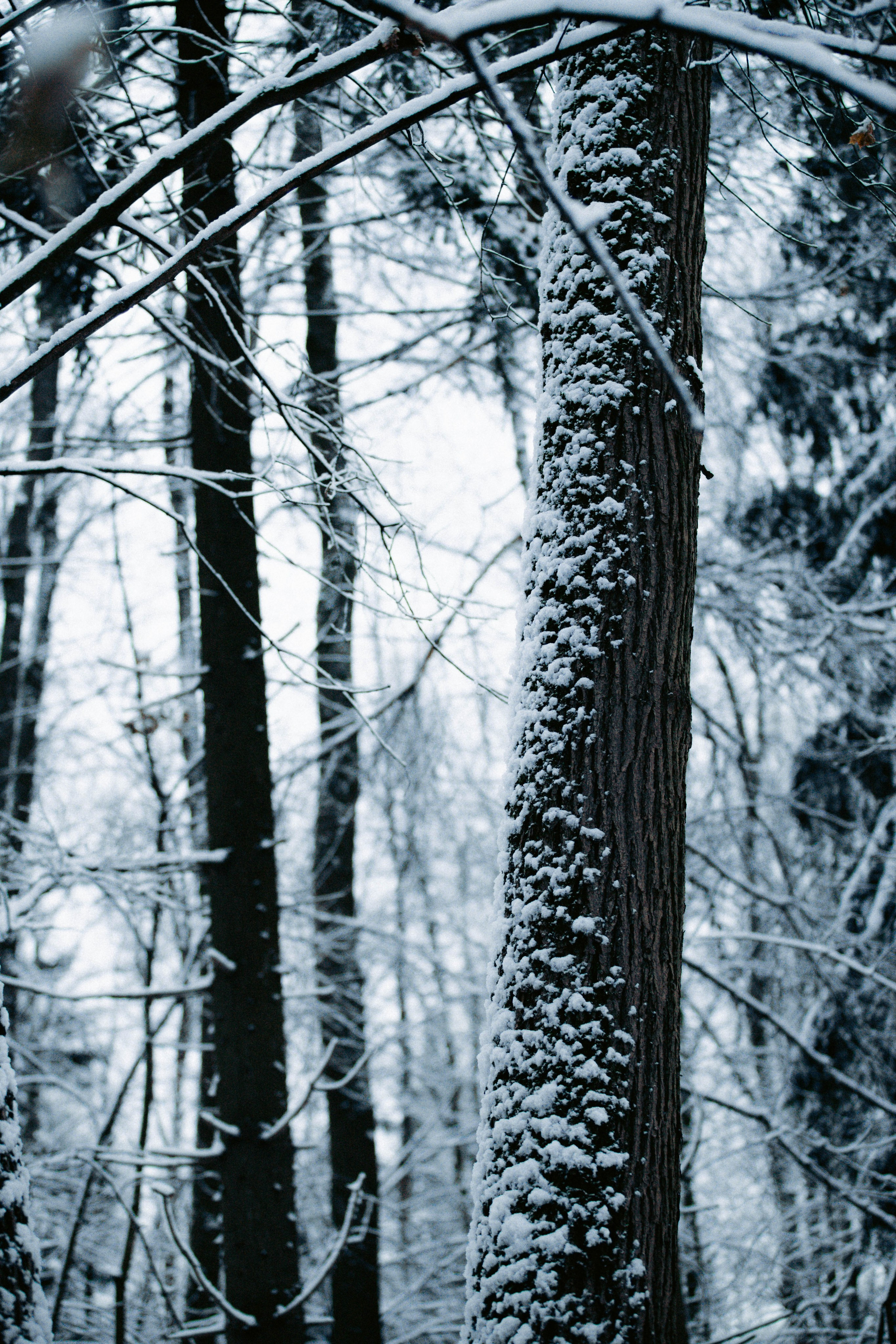 Марафон у дома_Бунино. Александра Мельниченко/ Бегающий фотограф
