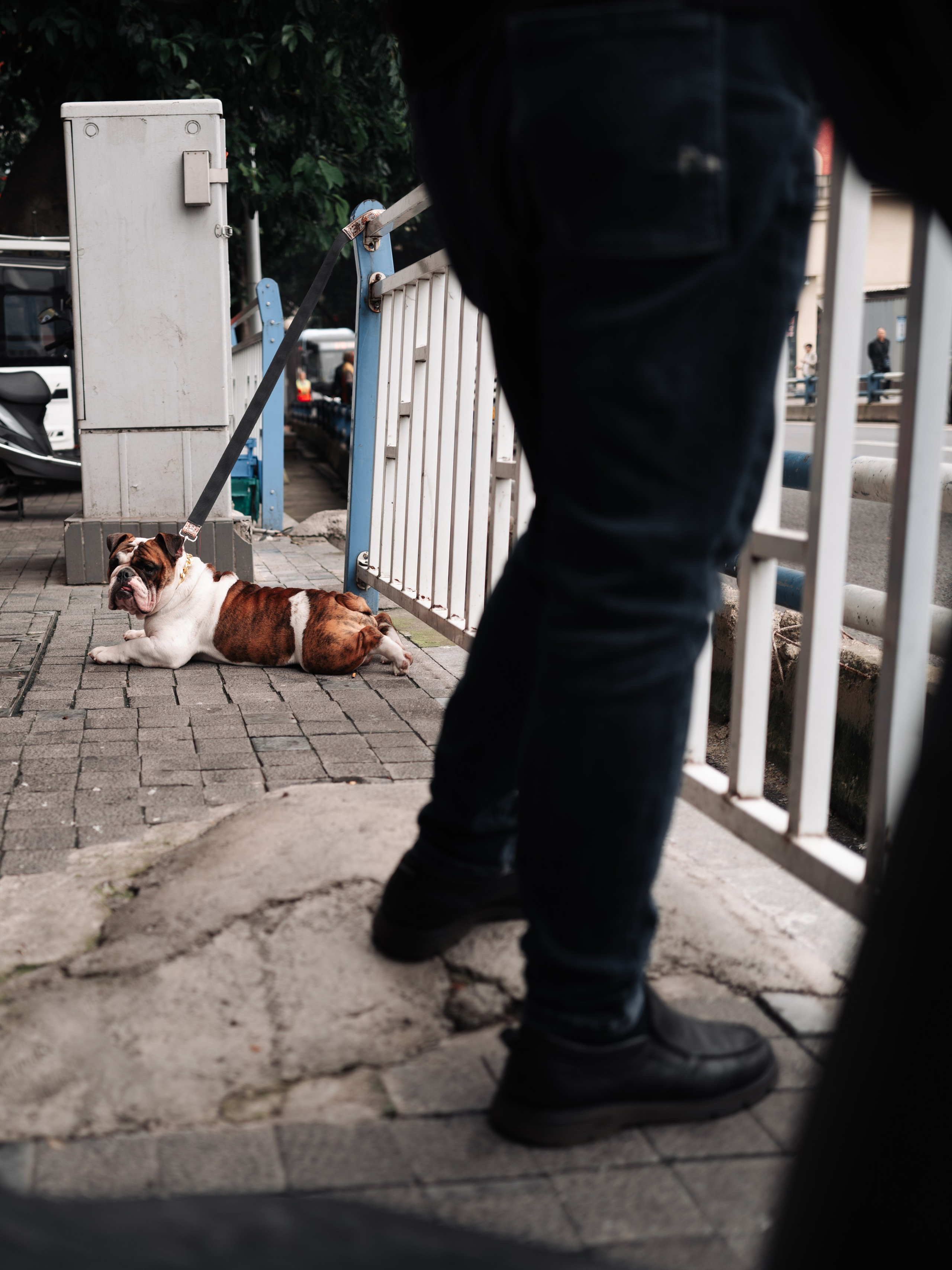 China/Китай. @tomrus: Рустам Шагиморданов — фотограф