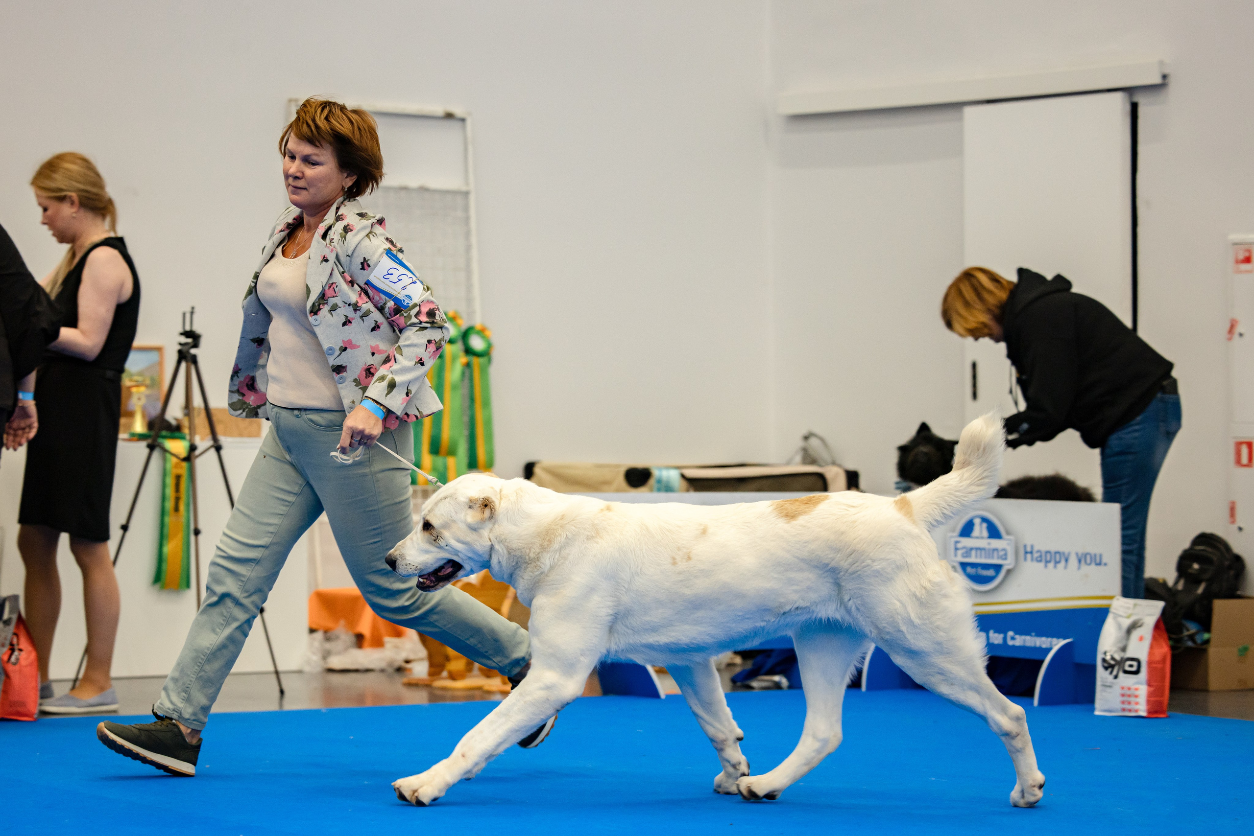 Нижний Новгород 21-22.10.2023. Фотограф-анималист Юлия Германика