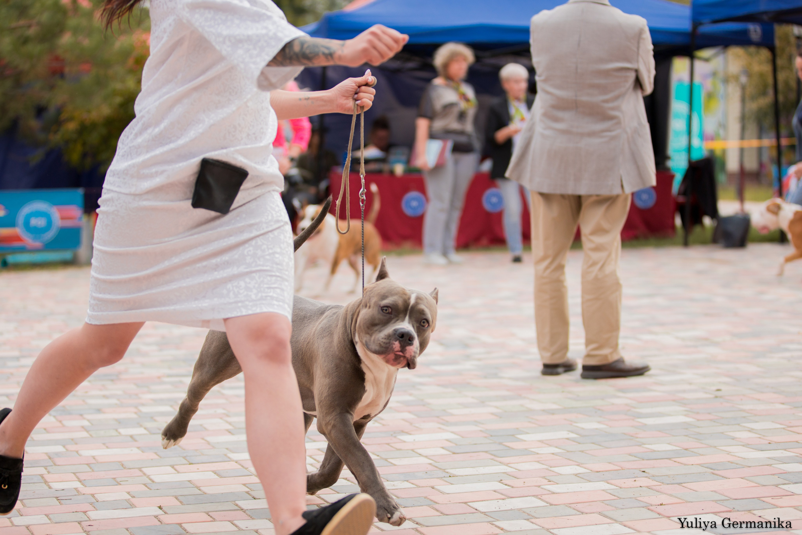 Ташкент 6-8.10.2023 + Алматы 14-15.10.2023. Фотограф-анималист Юлия Германика