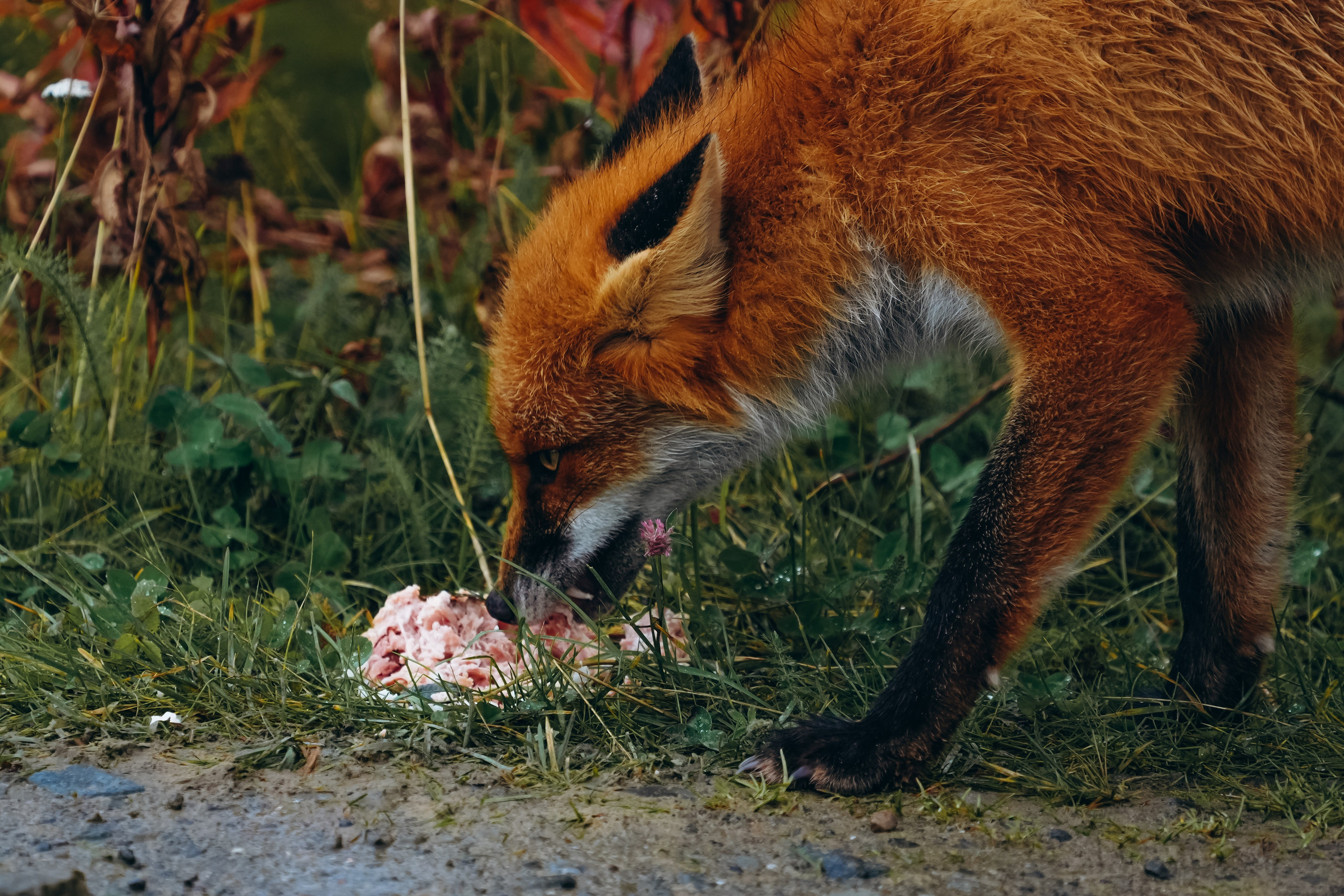 СЕВЕР. Event фотограф Степанова Александра