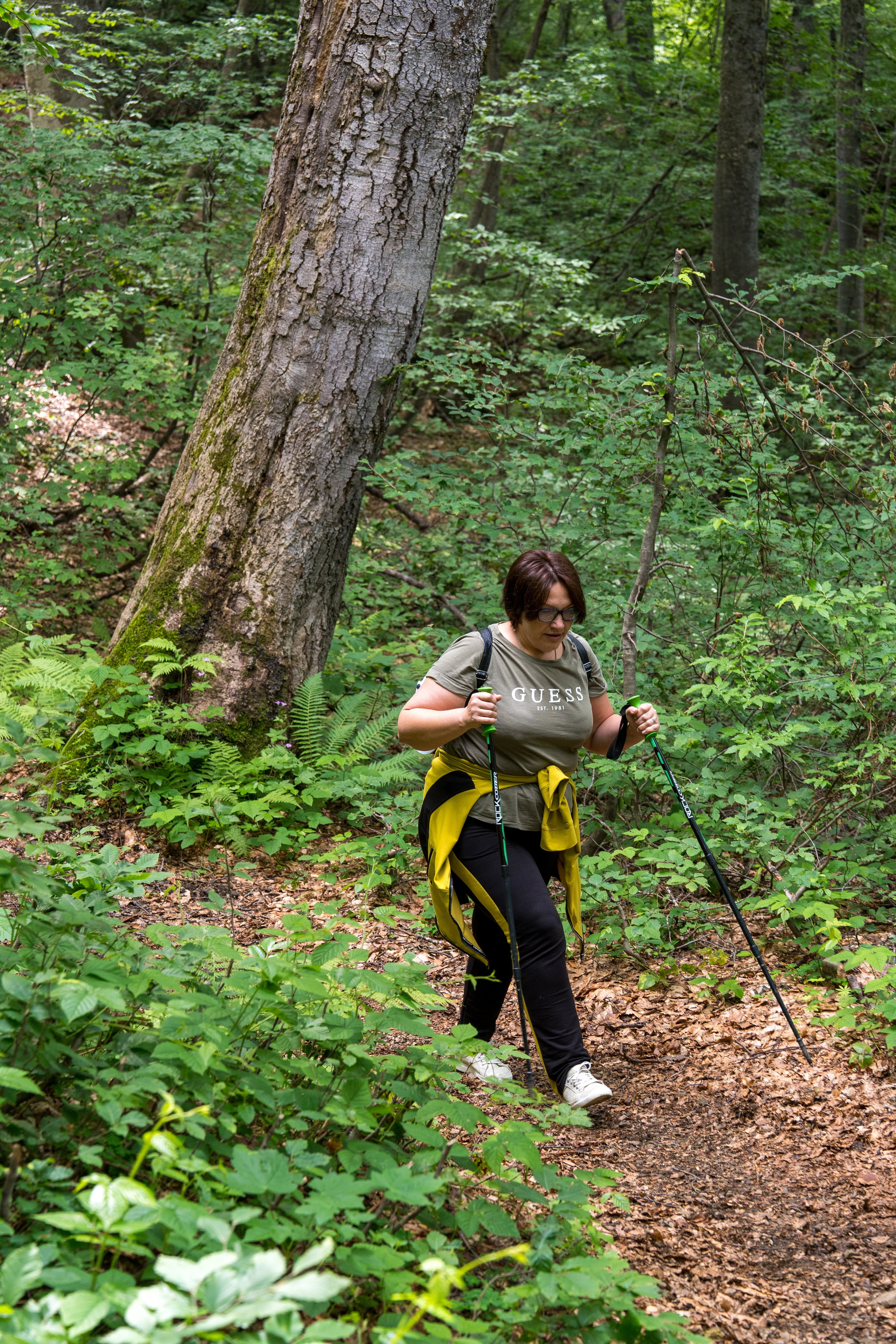 MICE мероприятие для компании «Доставка морем»: хайкинг к Ачипсинским водопадам. Репортажный фотограф в Красной Поляне и Сочи Павлюченко Екатерина