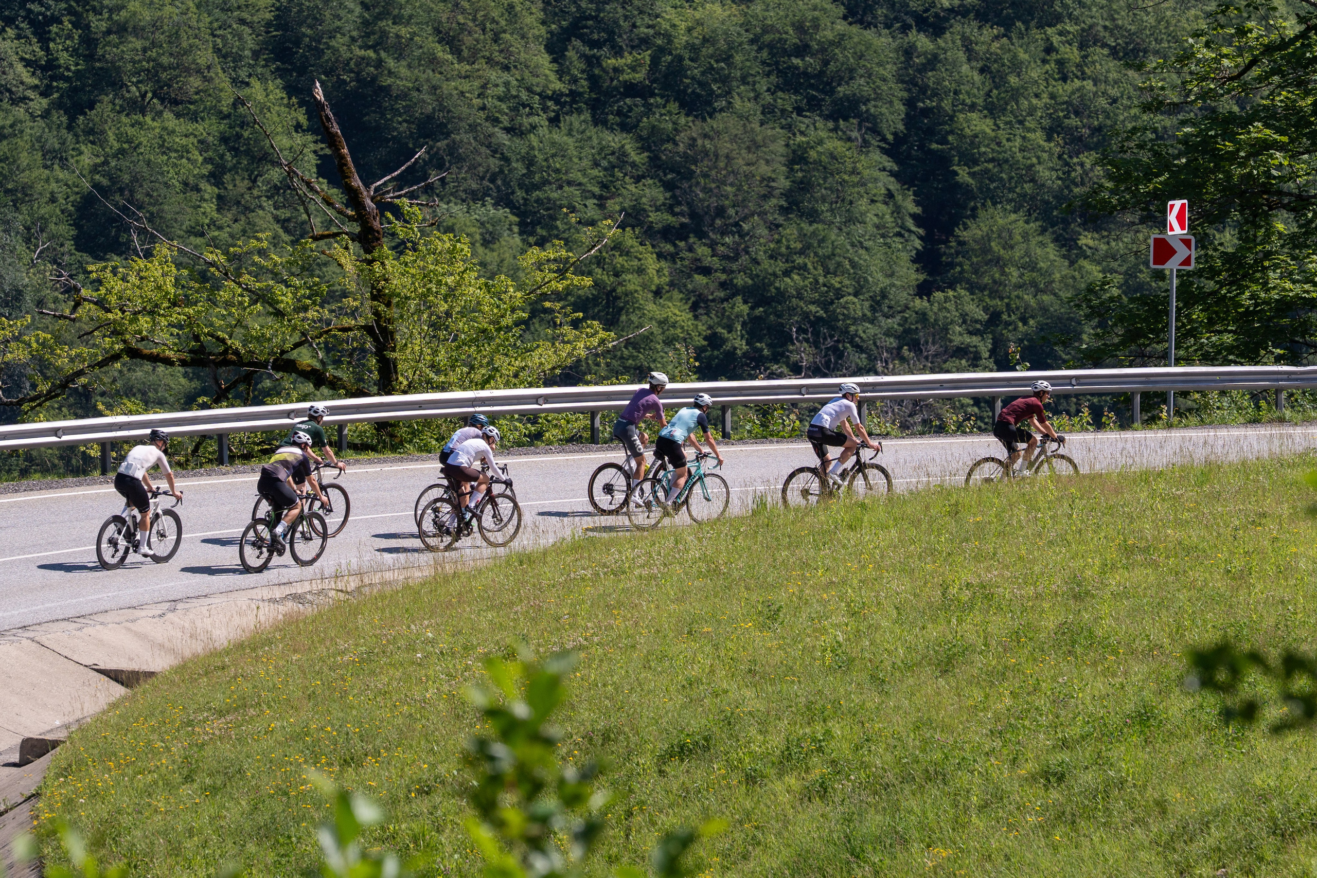 Laura Training Run. Репортажный фотограф в Красной Поляне и Сочи Павлюченко Екатерина
