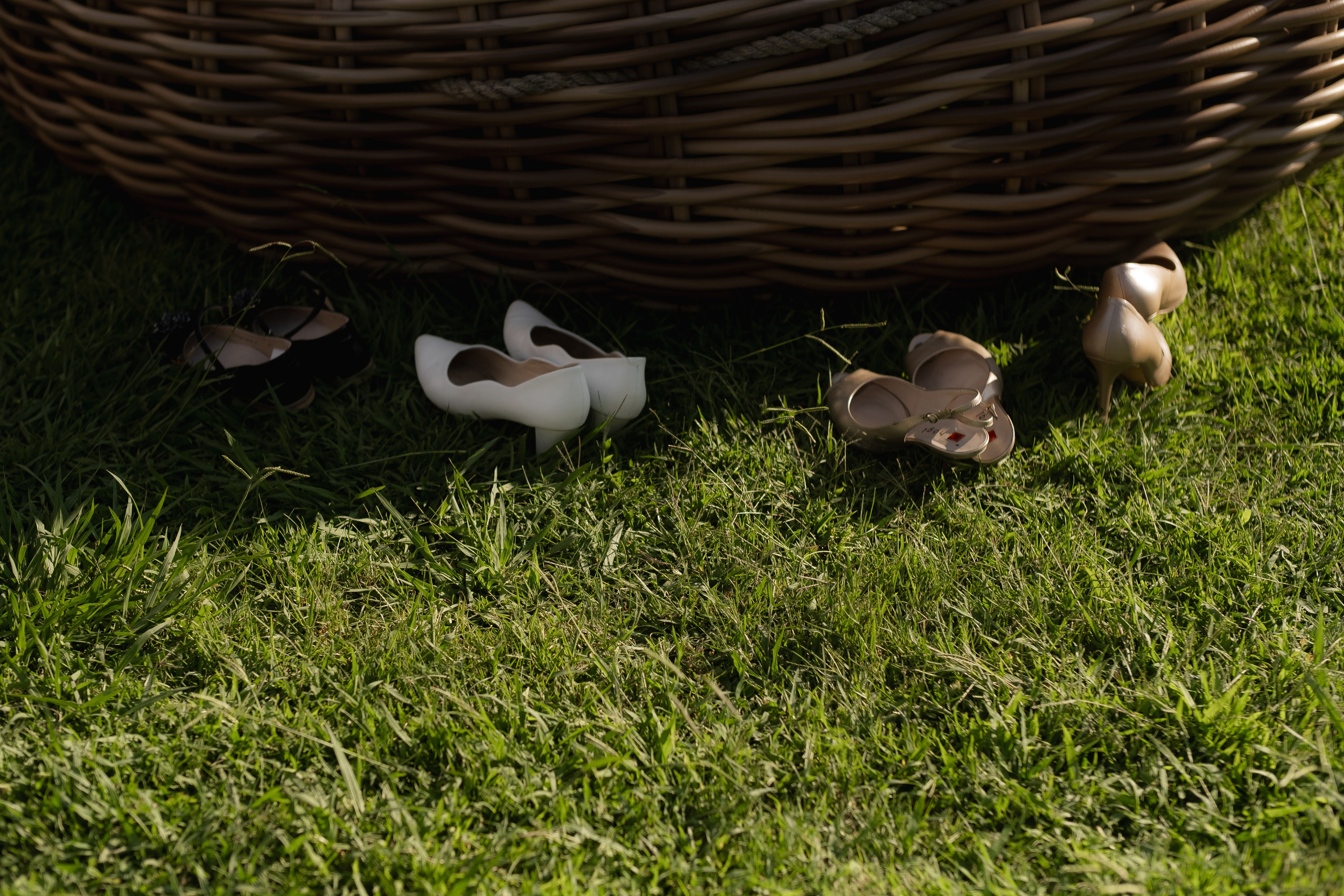 Georgia: Dreams About. Сентиментальная свадебная фотография