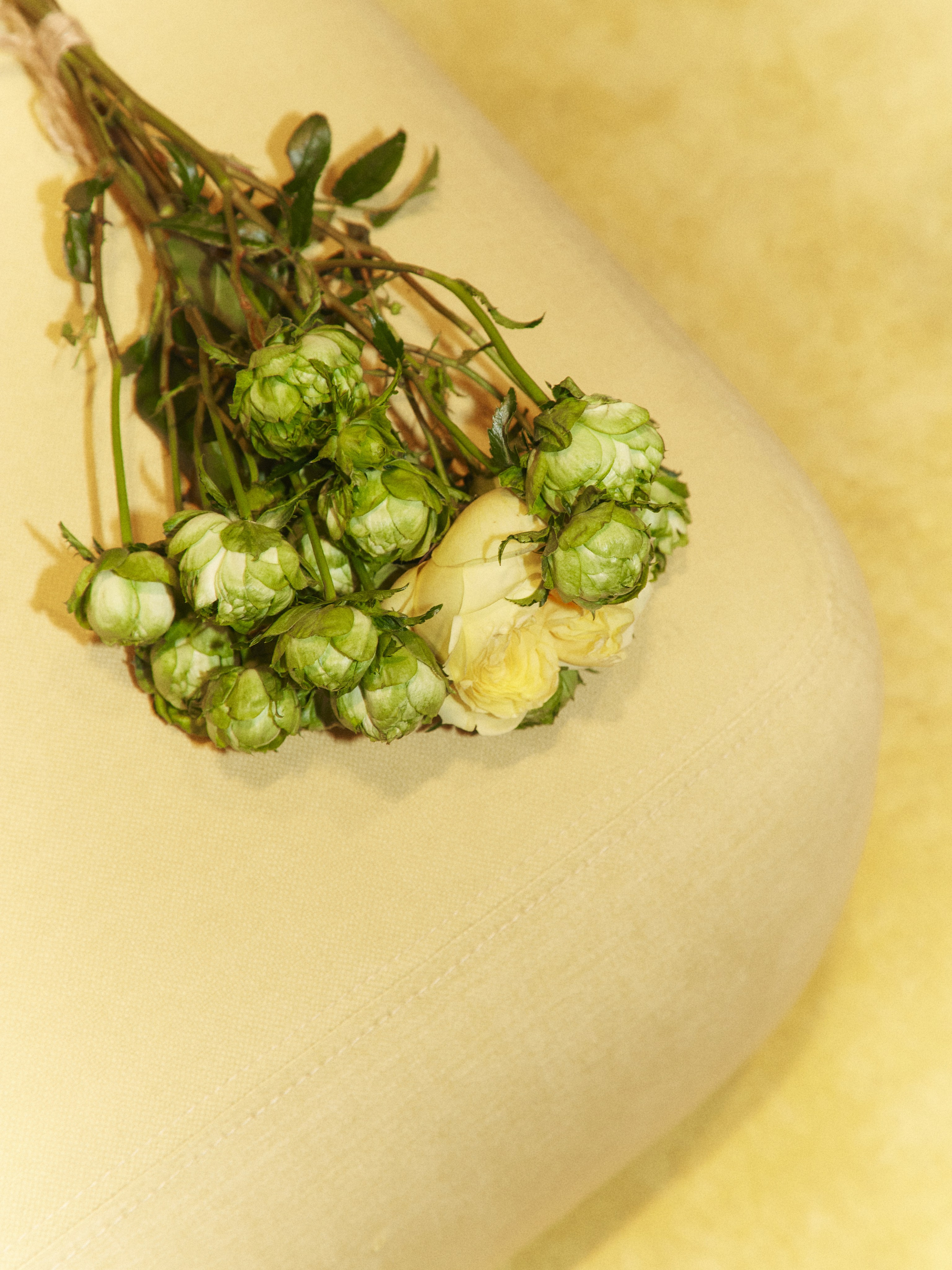 CHAIKA store opening in Tsvetnoy. Photographer Daria Ilkevich