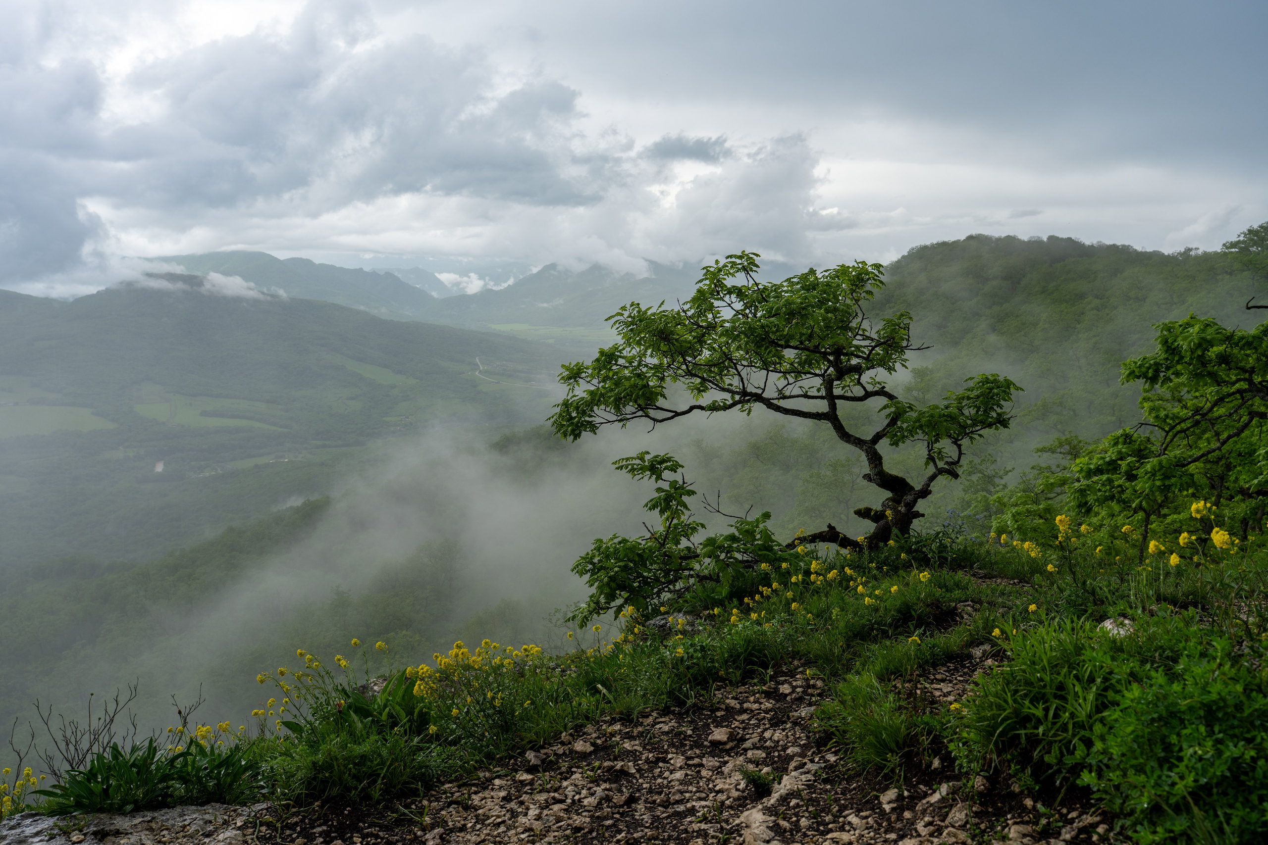 Каменномостский. Владимир Гурылёв — путешествия, природа и фотография
