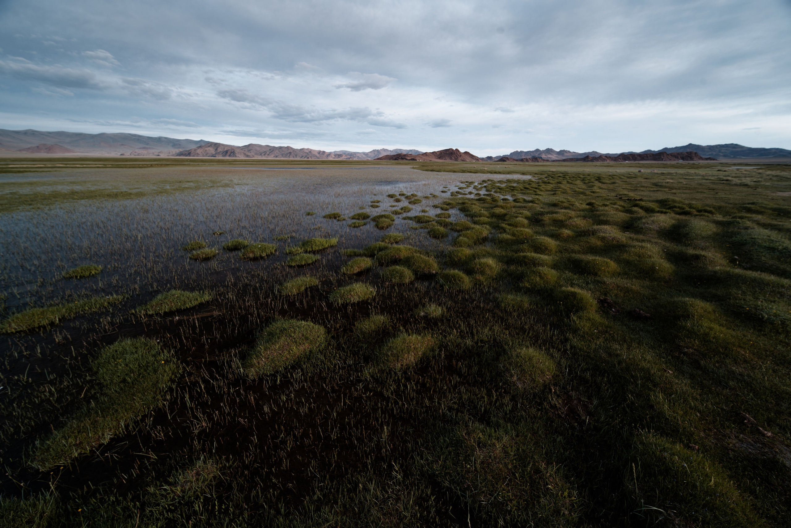 Экспедиция в Монголию (Гоби). Семоха Валерий. Фотограф