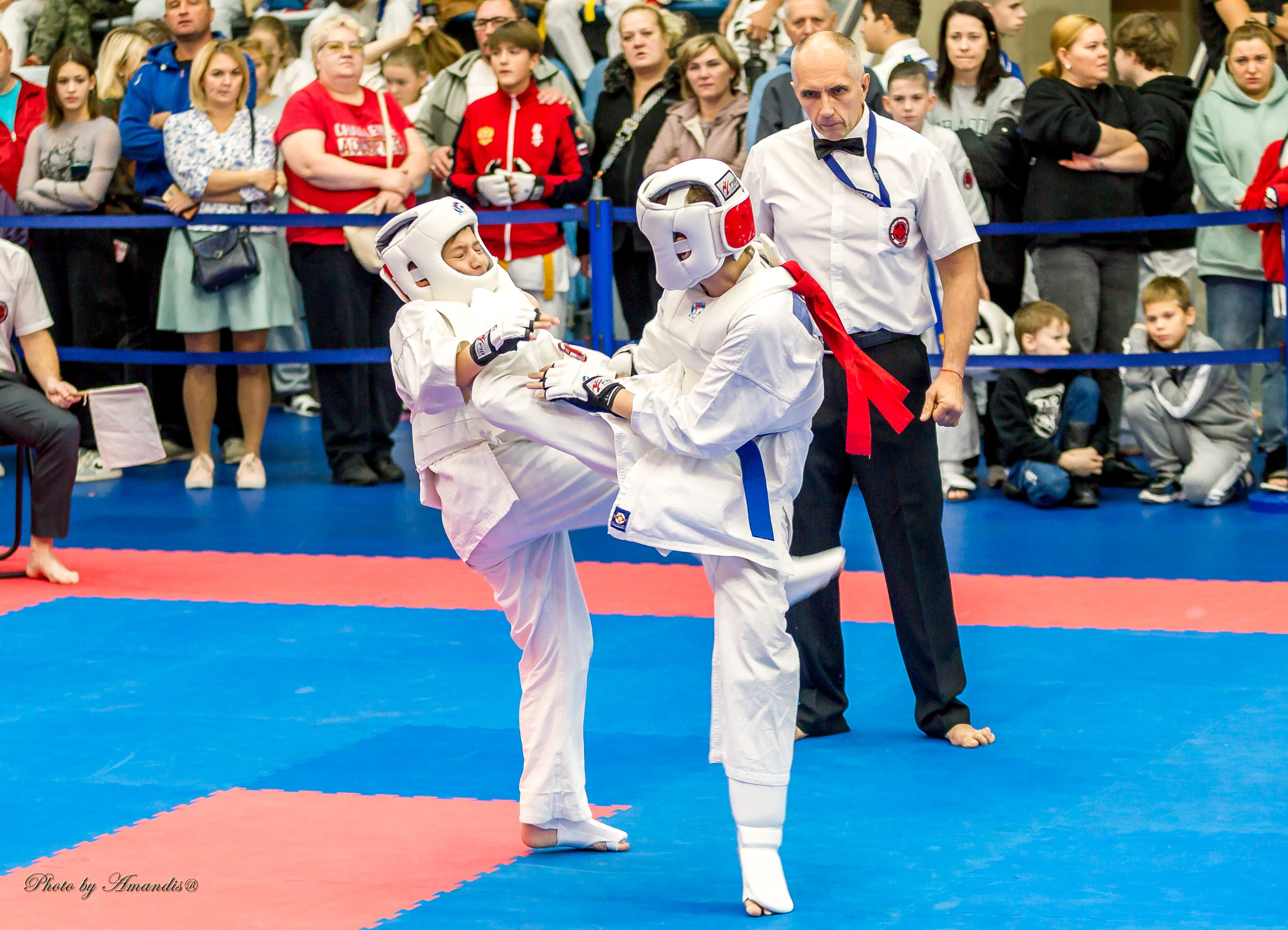 Чемпионат по Киокушинкай Центрального Федерального округа. Репортажная съемка в Москве и области. Анималистика