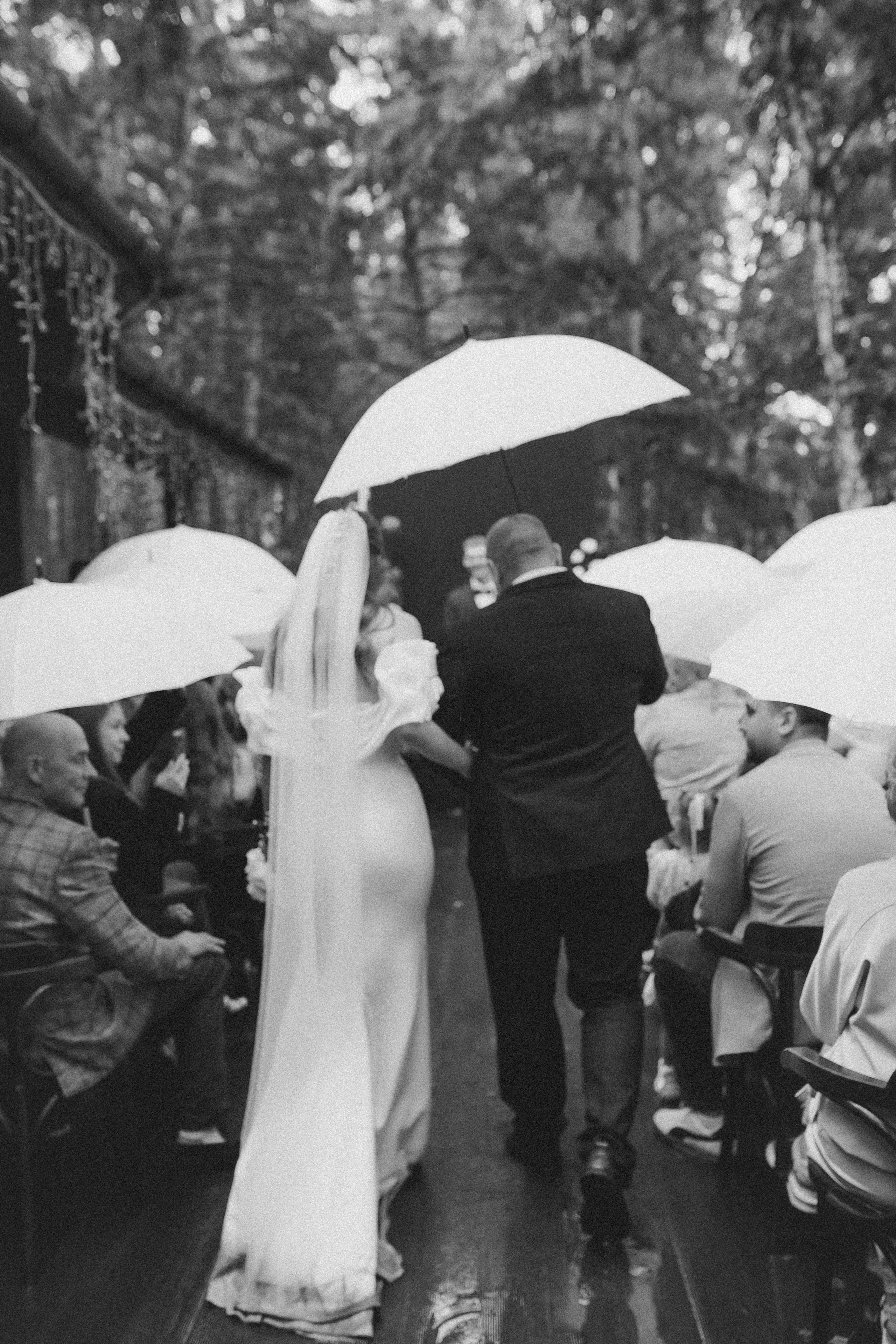 Константин и Алина. Свадебный фотограф в Новосибирска