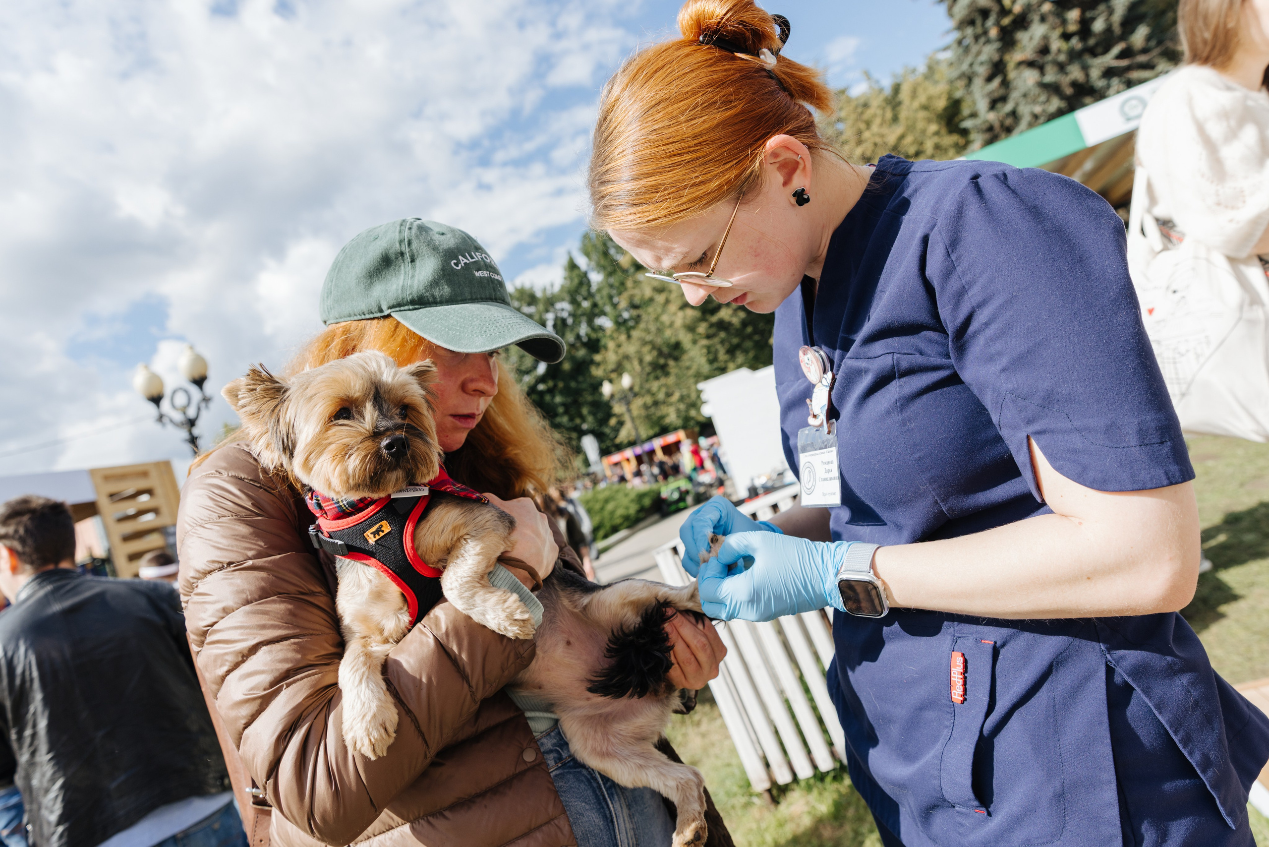 Хвостатый репортаж. Аксана Лисовская фотограф в Москве. Фотографии с характером