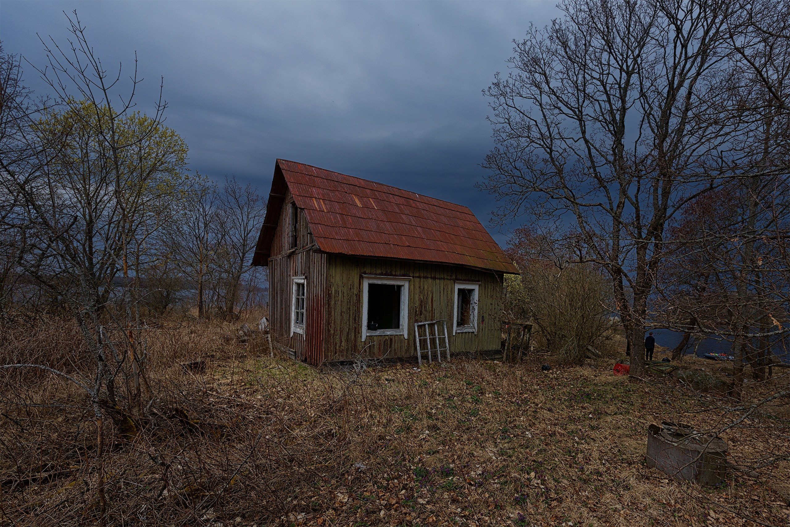 Пейзажи. Сайт фотографа Елены Михайловой. Фотосессии на пленэре в Сестрорецке