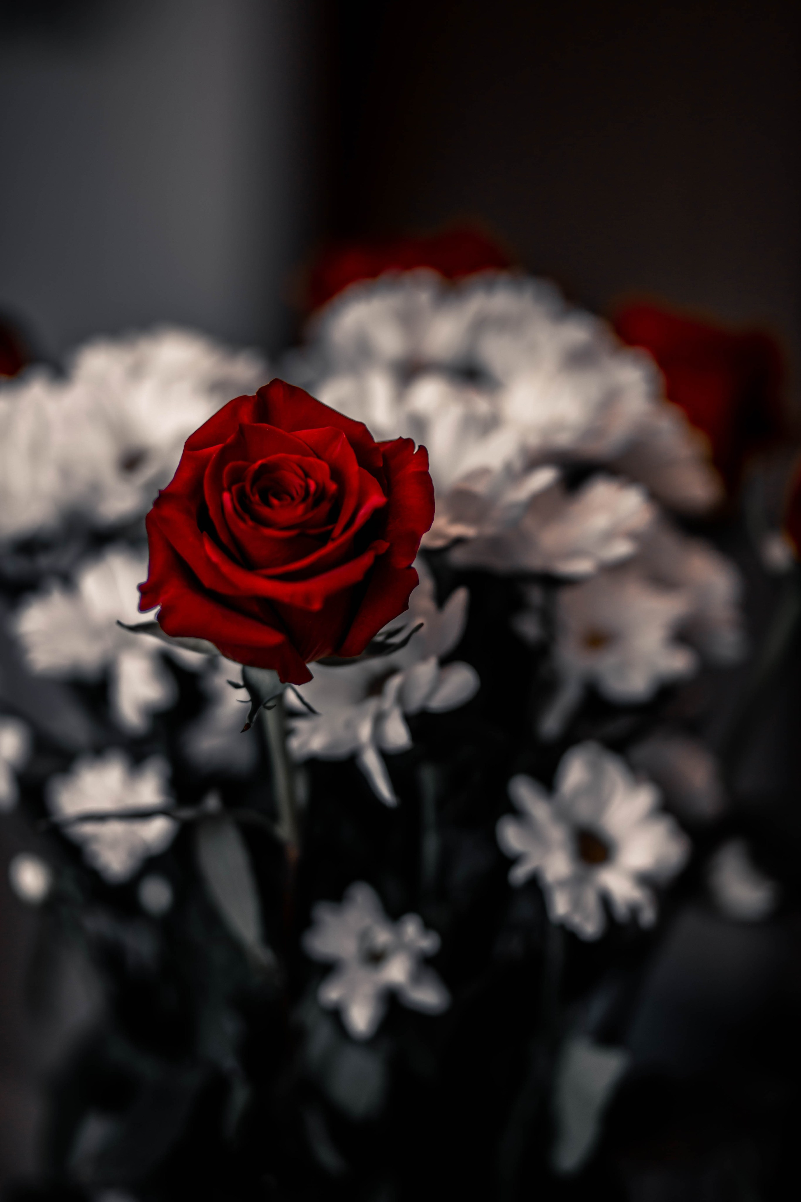 Для мини хостела. Nadin.K фотограф Иркутск, Байкал, Братск