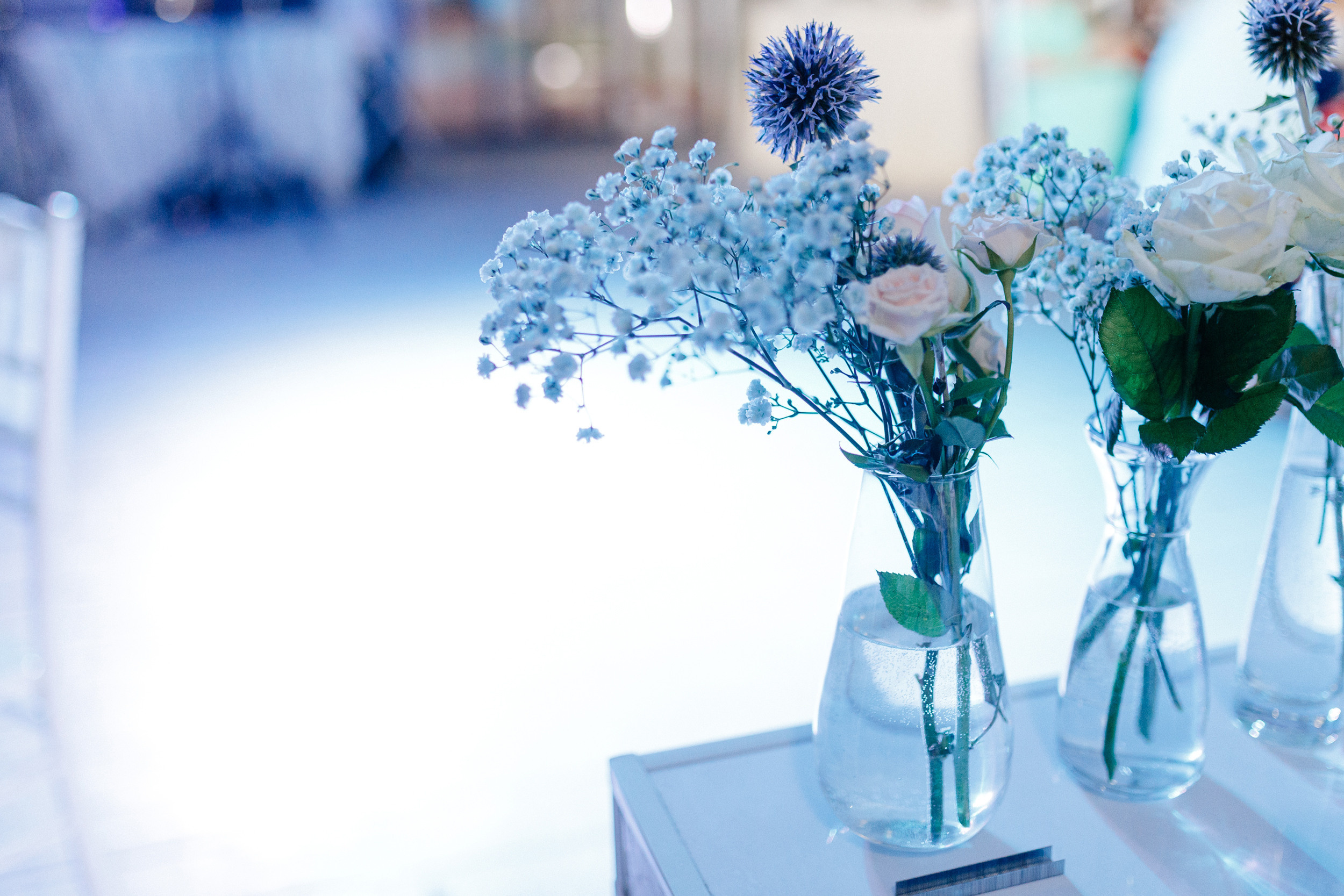 Дмитрий & Юлия. Свадебный и семейный фотограф в Твери, Москве, Санкт-Петербурге