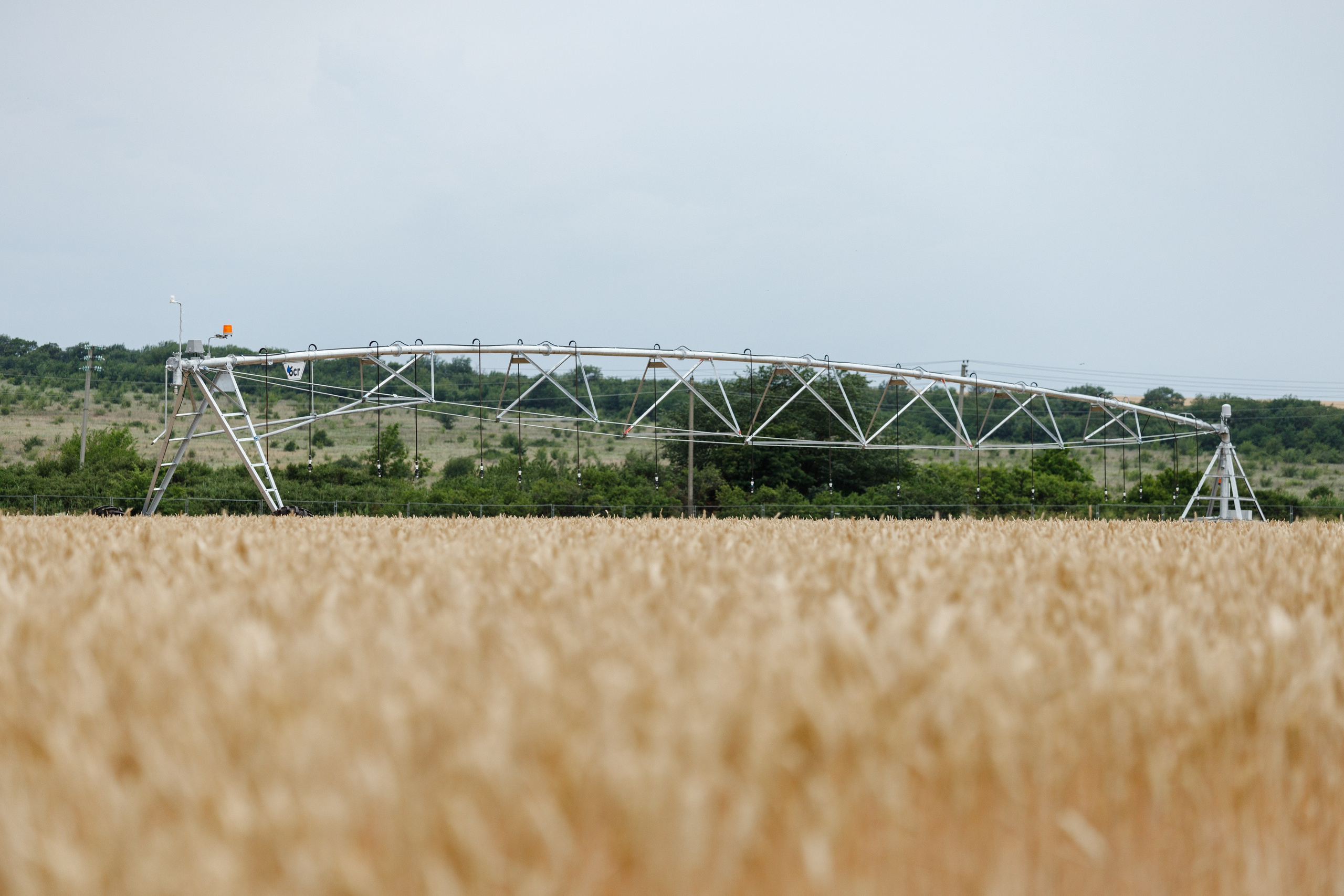 День Поля 2024 Мин-Воды ЭКСПО. Фотограф Ставрополь Петр Голубенко