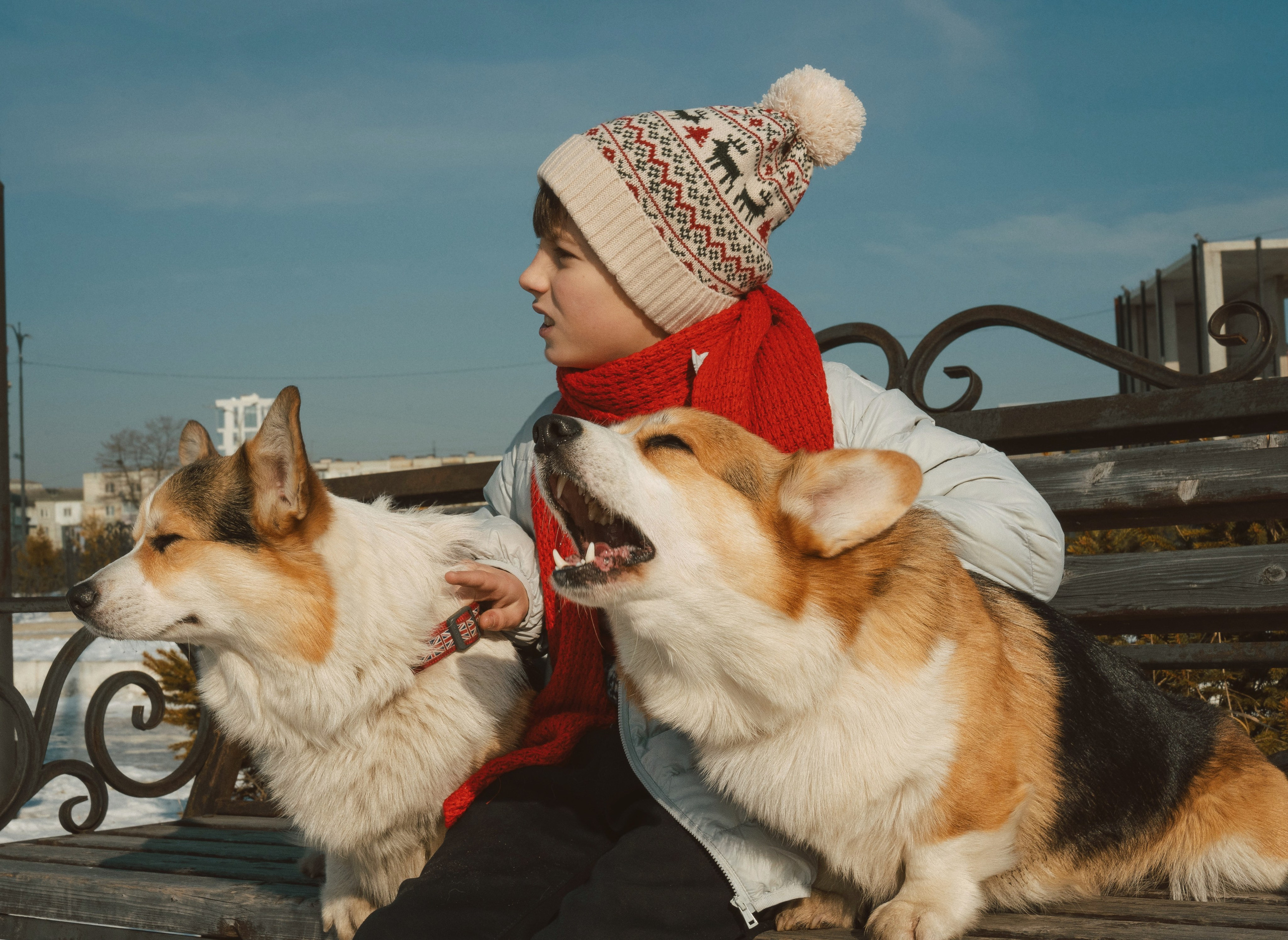 Один дома. Семейный фотограф анималист г. Находка