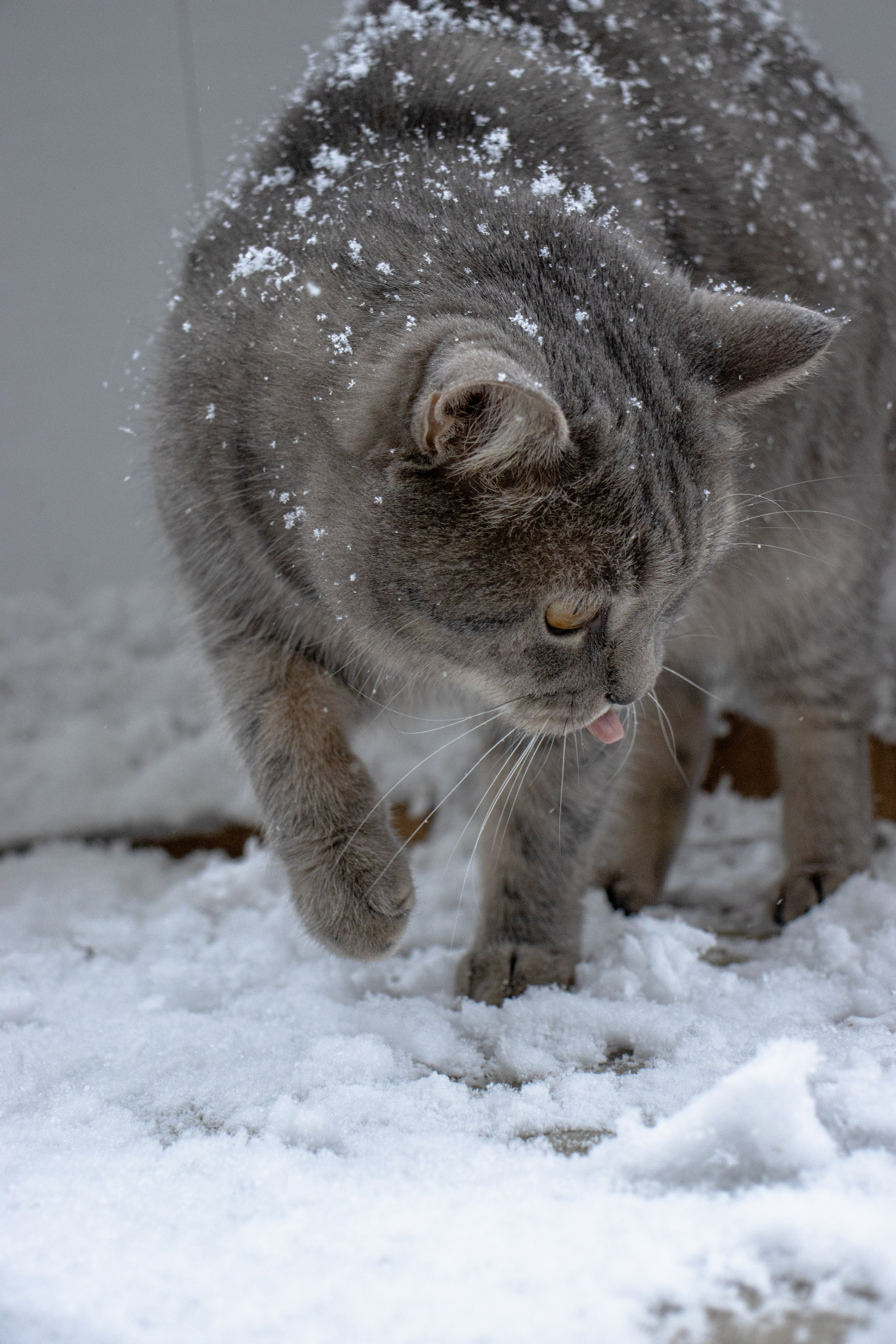 М А Р Т И Н. — Digital Noise —