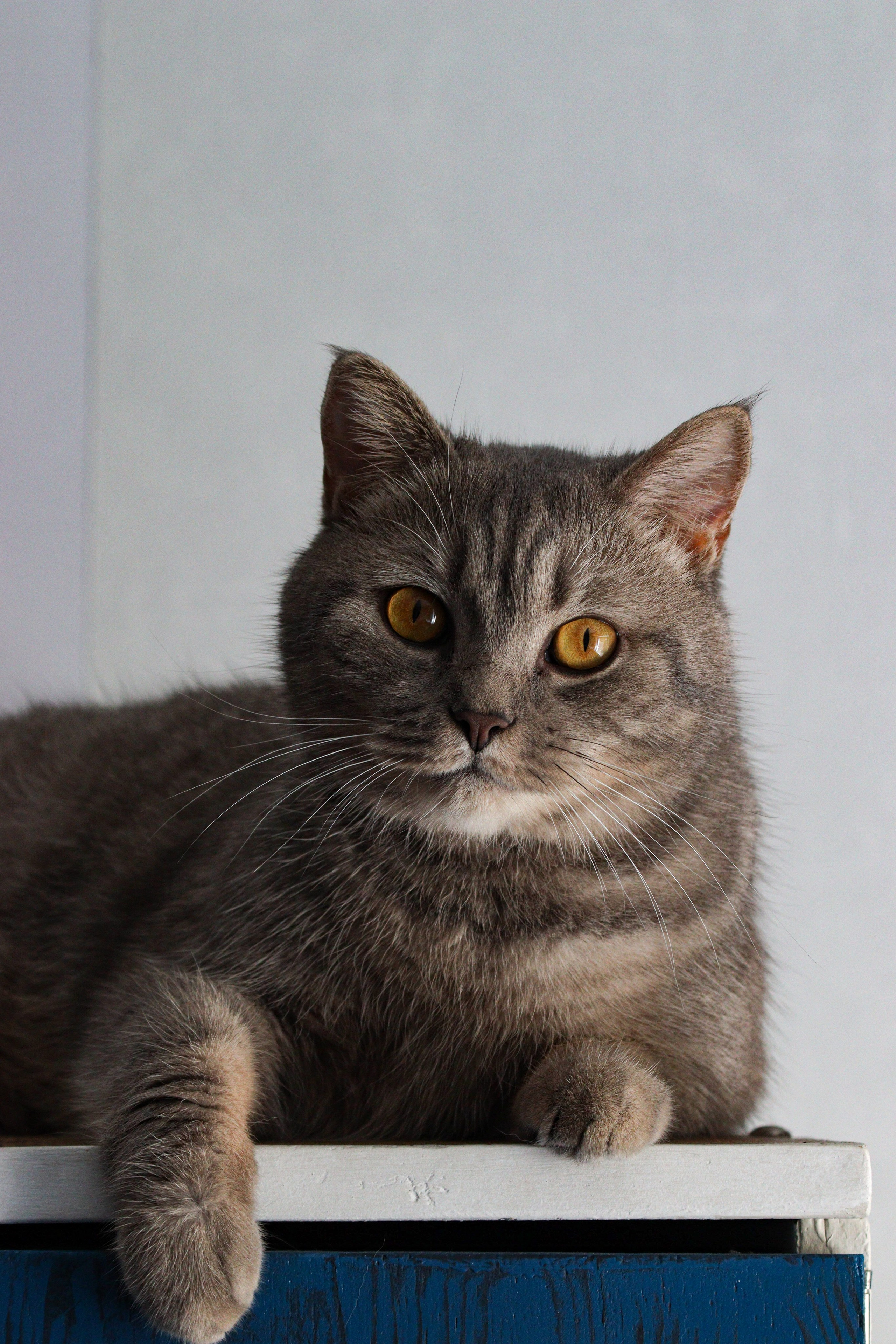 М А Р Т И Н. — Digital Noise —