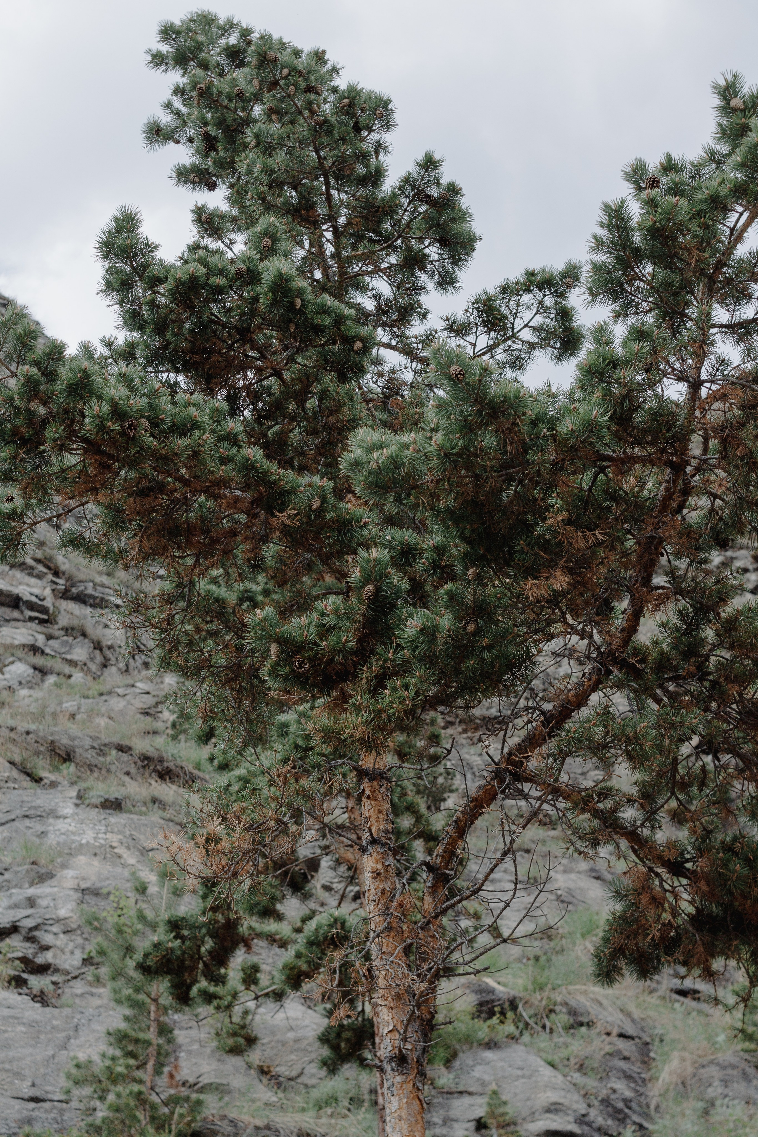 Ретрит на Байкале / Школа Ведических знаний SoVA / 7 дней, 2023. Борщевская Елизавета / фотограф Иркутск