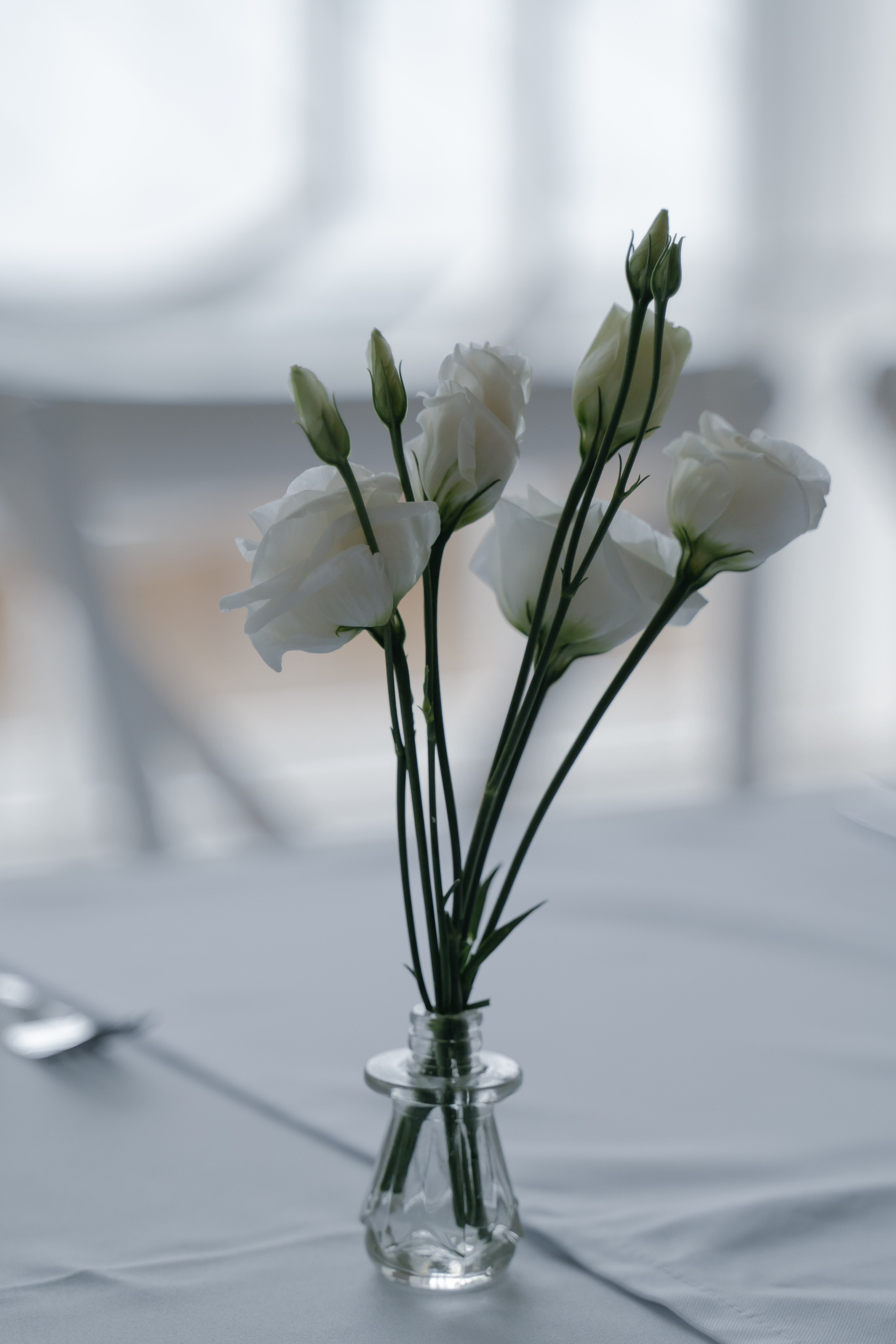 29.09.2023. Свадебный фотограф — Наталья Фед СПб/Москва