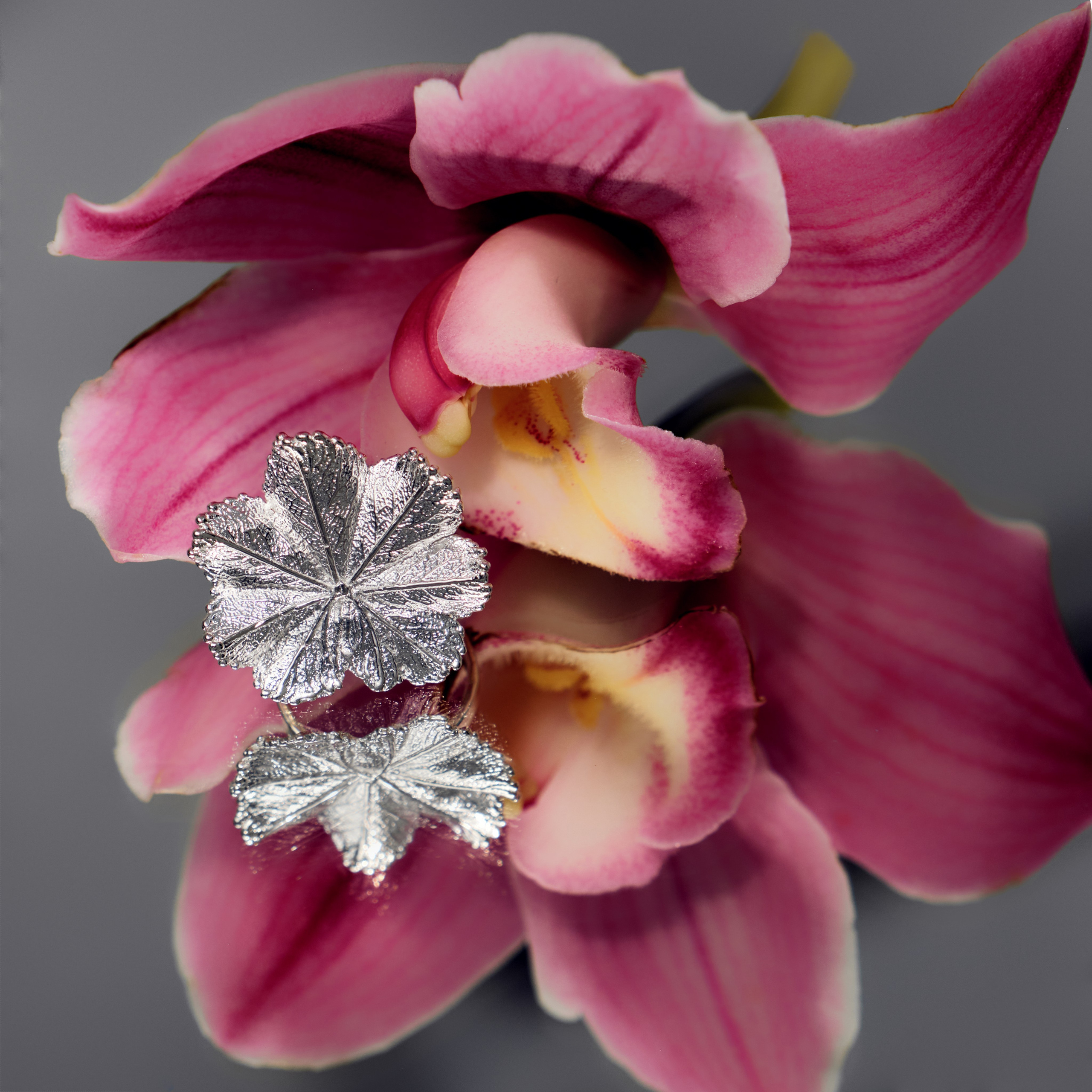 NAMSK Jewellery. Fashion Photographer