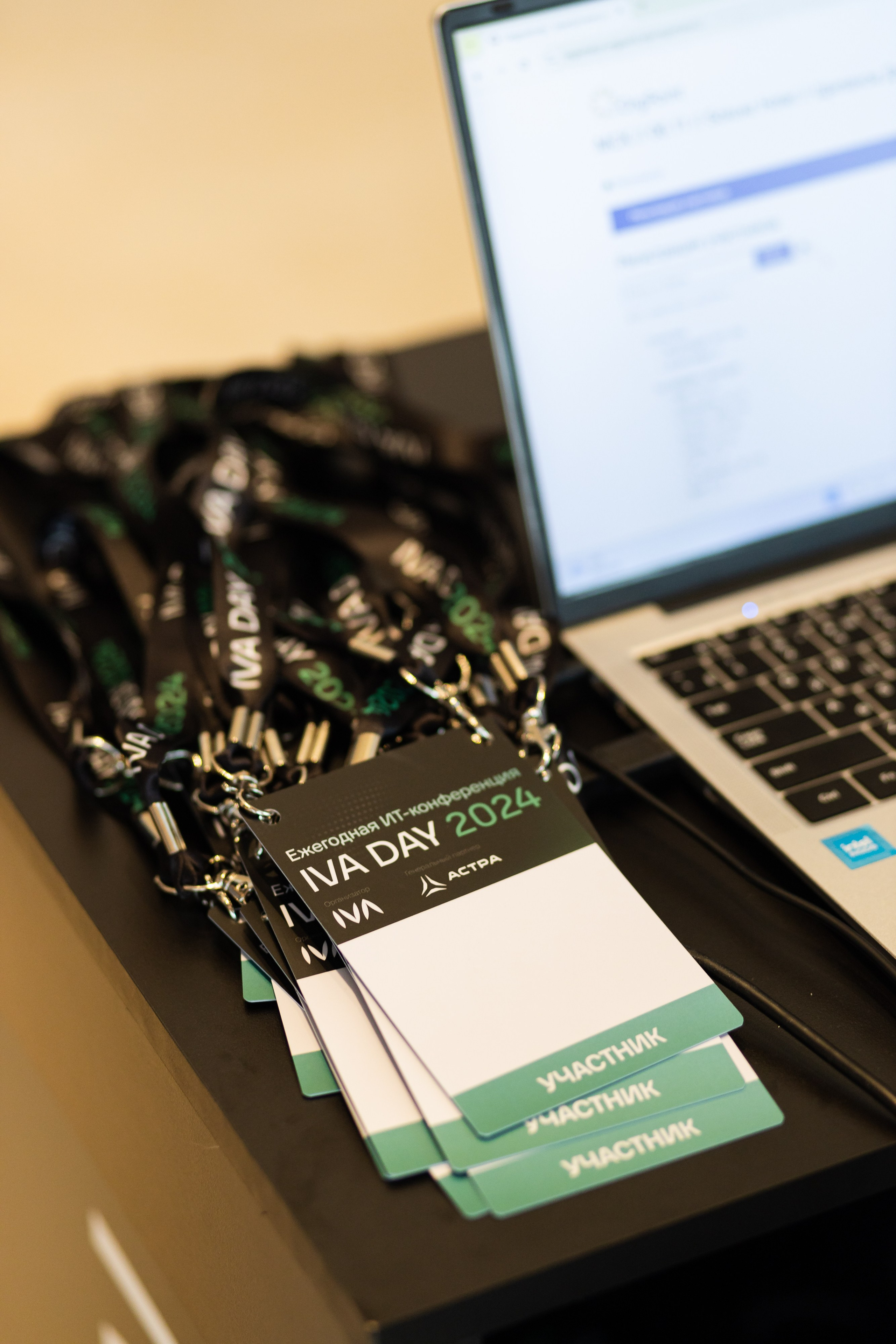 IVA DAY 2024. Свадебный и портретный фотограф в Королёве Сергей Чихарев