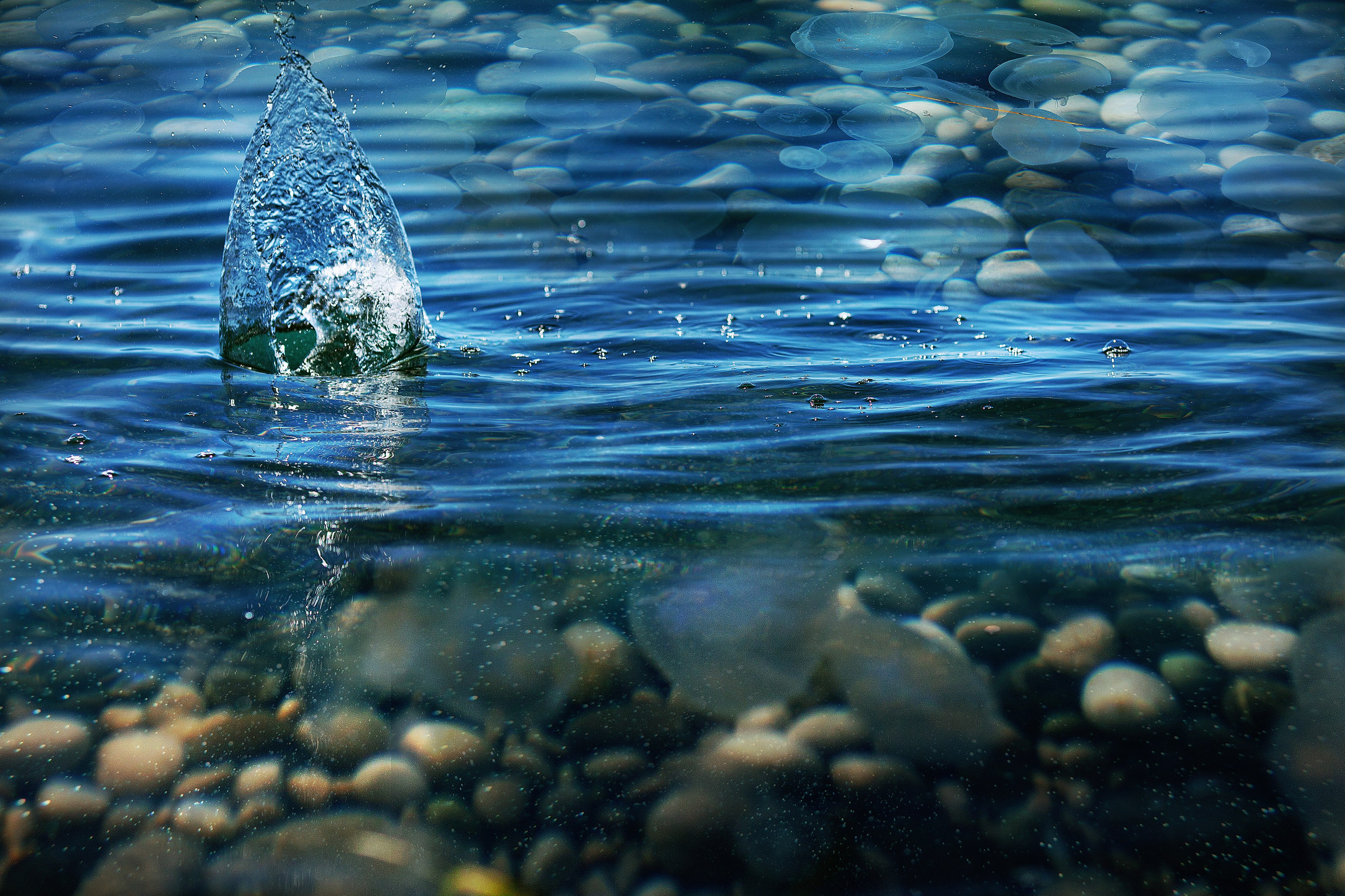 Фотопроект» Жизнь медуз». Медиапродюсер, фотограф в Минеральных Водах —Виктор Холодов