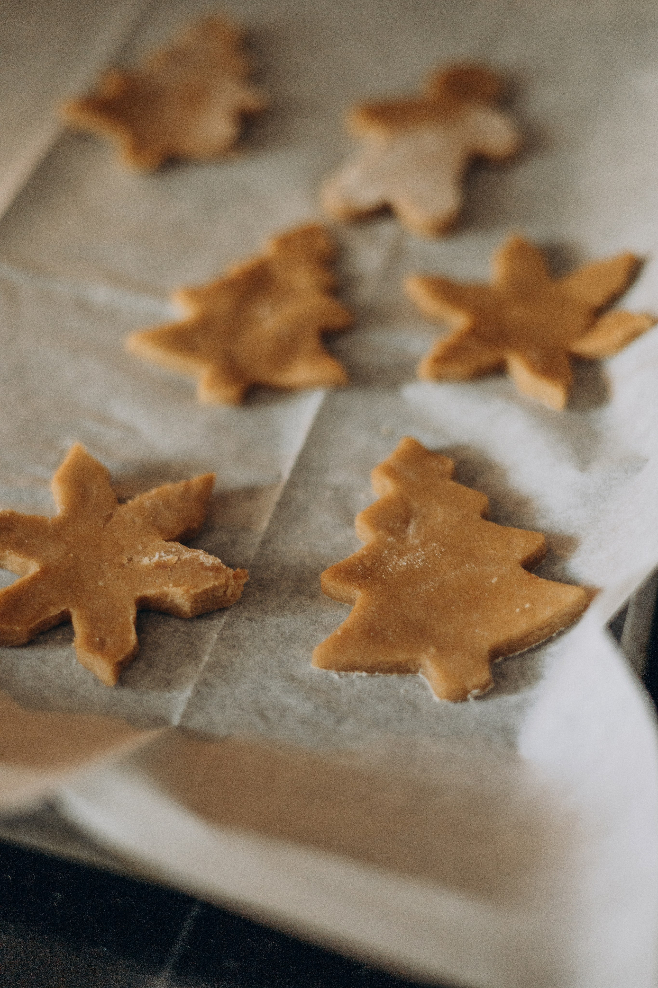 Есения. Самый теплый фотограф в Краснодаре Рябоконь Ксения