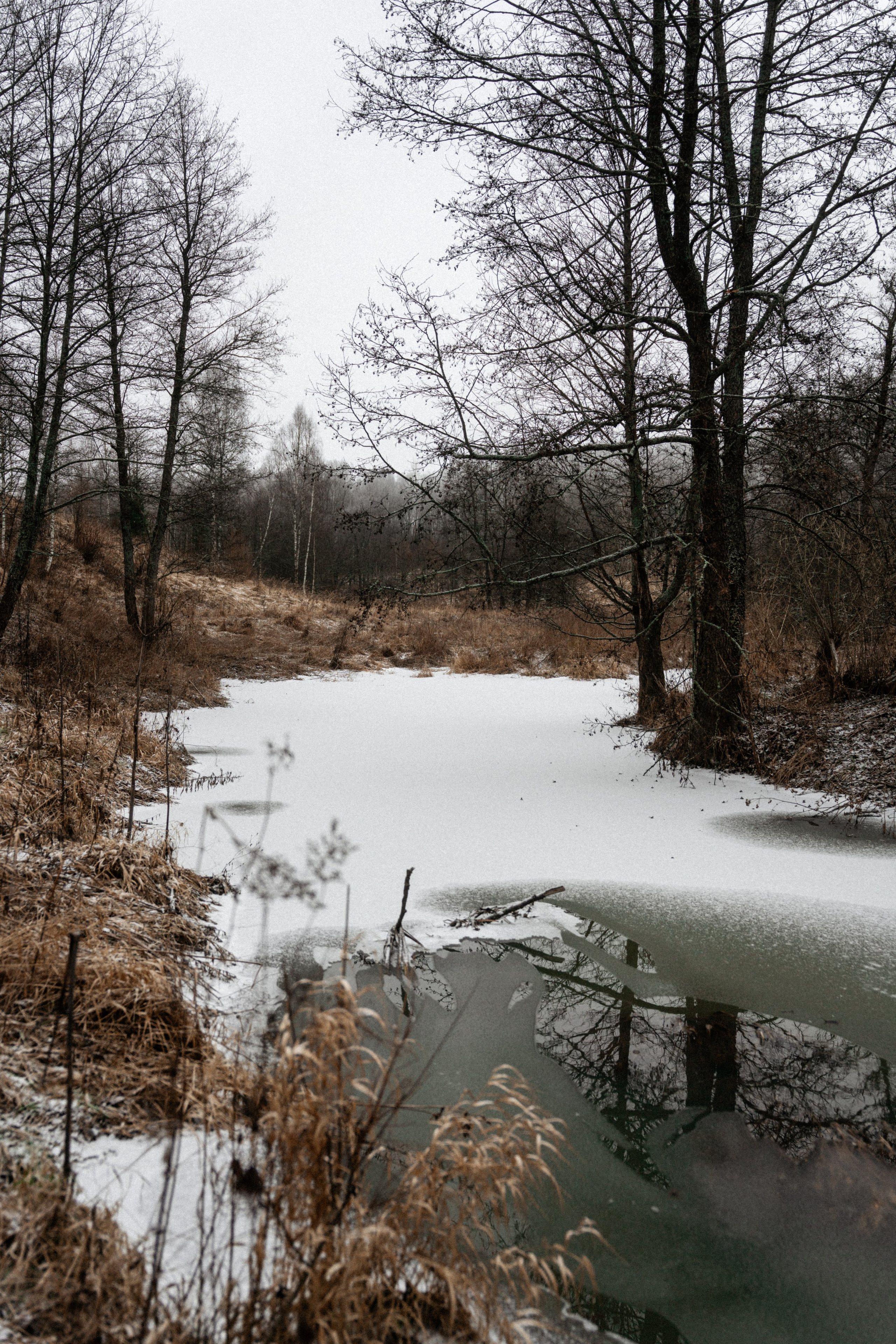 Прогулка по оврагу близ реки. Vlad Trykov