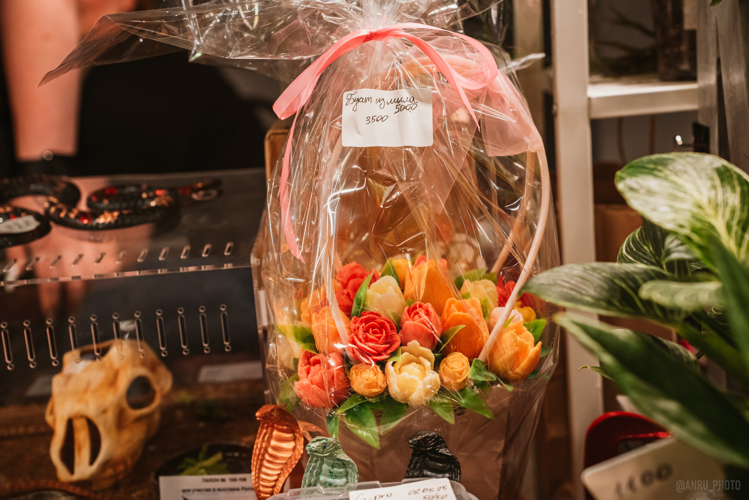 Рептилиум (ручная работа). Репортажный фотограф Анастасия Рубцова