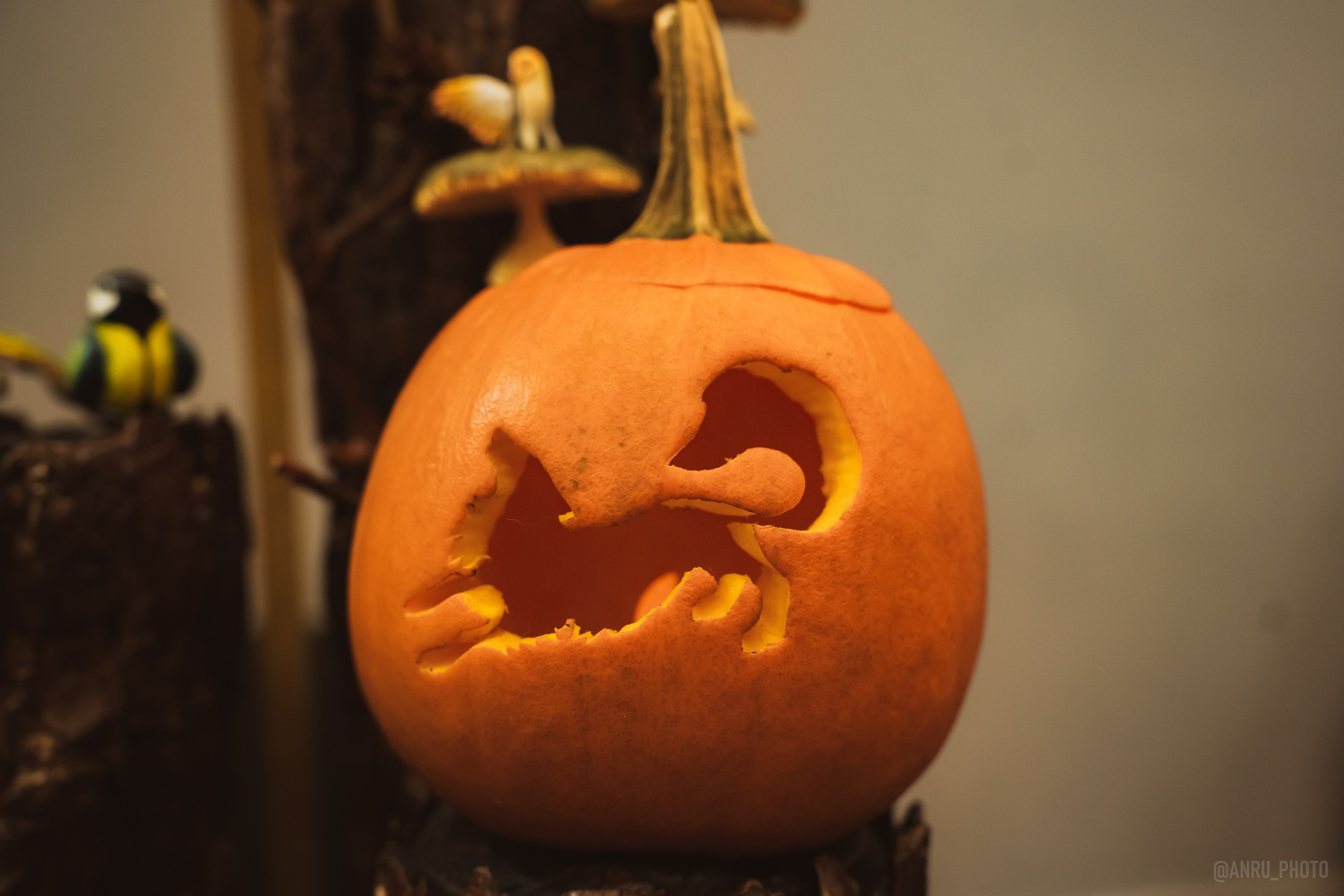 Fox Family fest. Репортажный фотограф Анастасия Рубцова