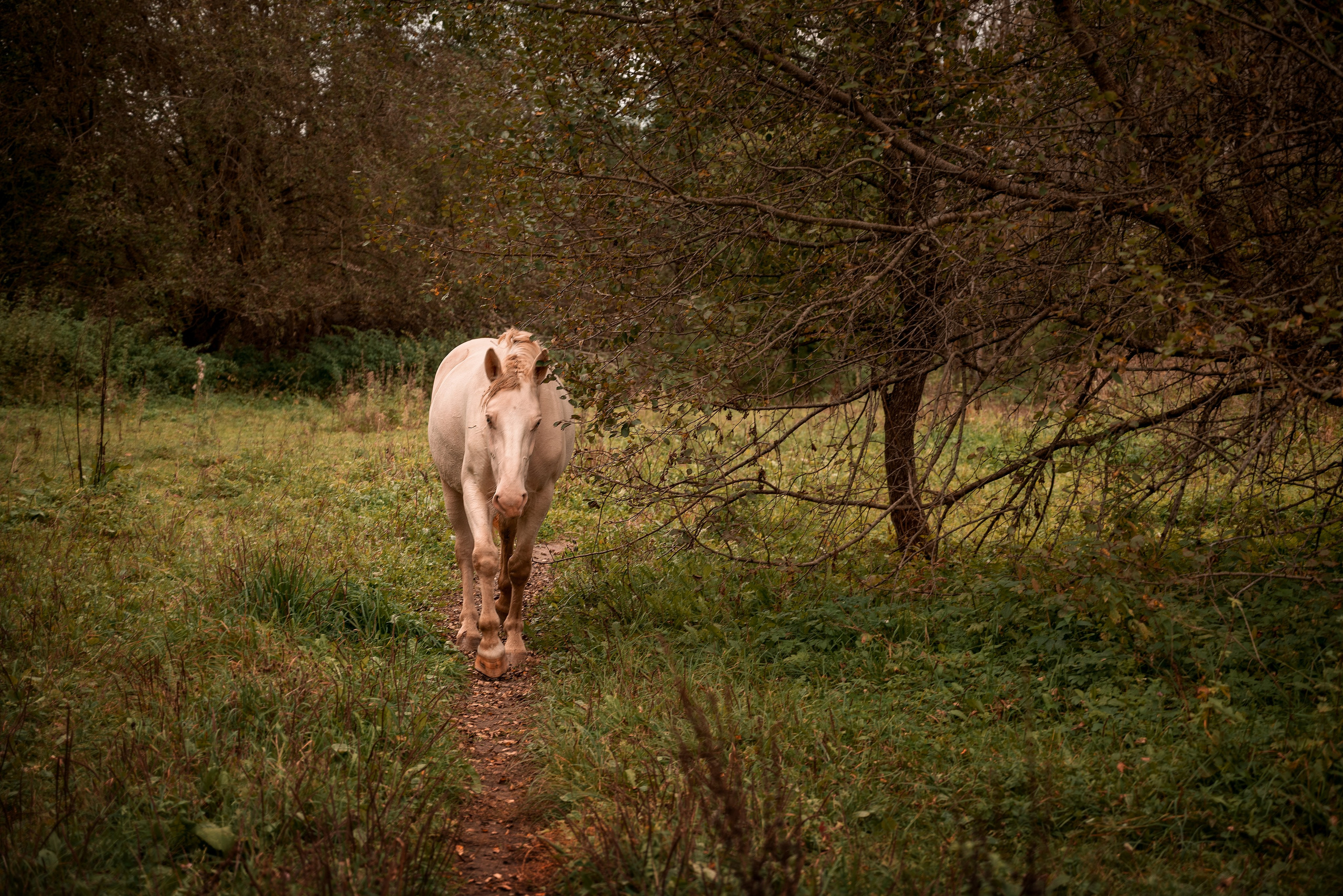 Места. Фотограф в Минске Дарья Кончакова